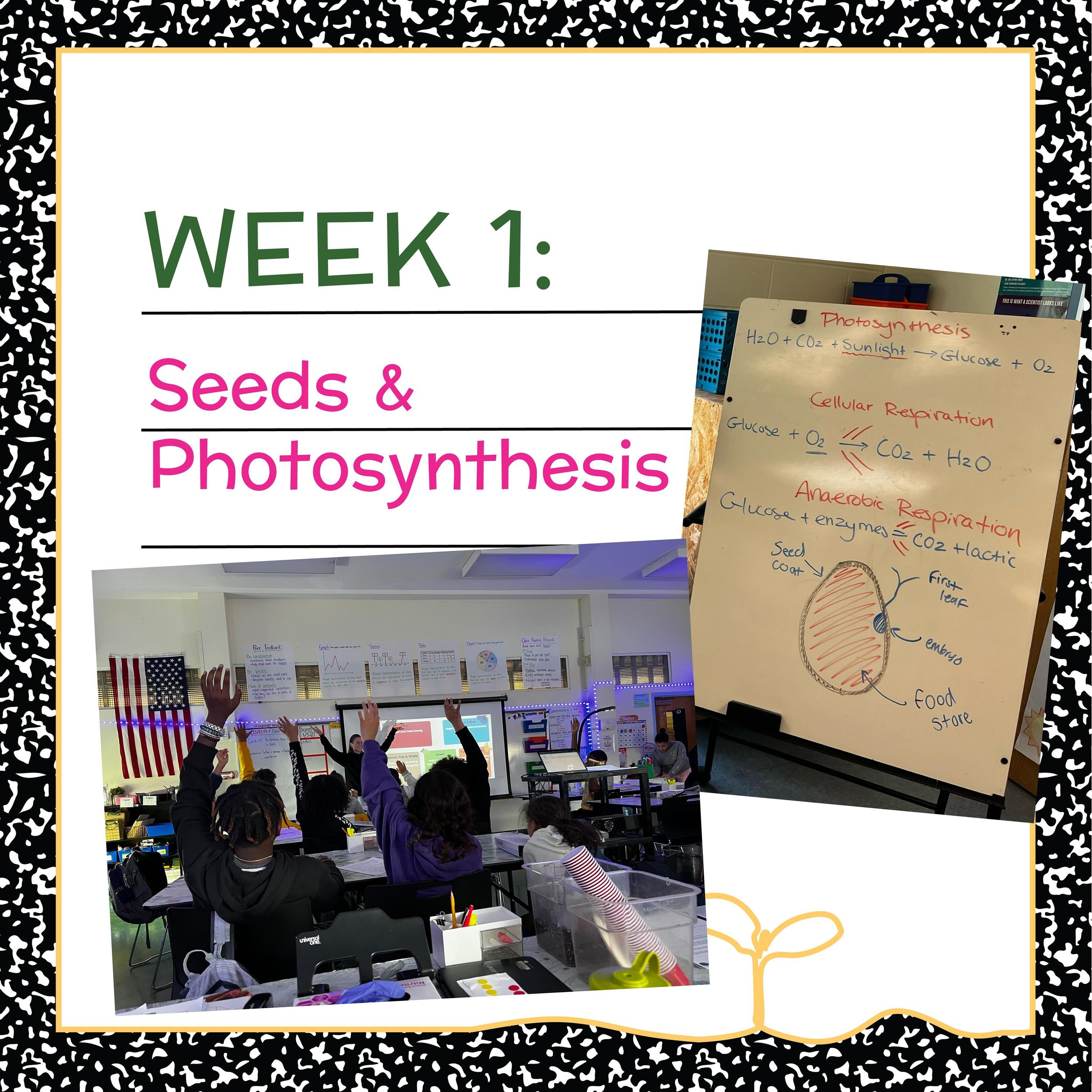 Week 1: Seeds and Photosynthesis. The beginning of our plant journey. On our first day in the classroom we start the lesson by getting our hands right in the dirt and planting our first microgreens. Then we take students through an interactive lesson