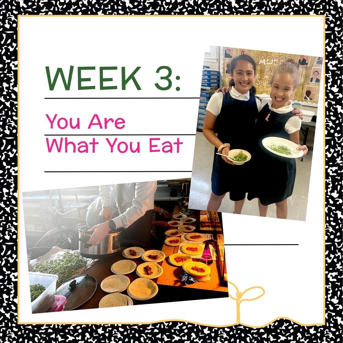 Week 3: You are what you eat! This week we get to harvest all of 3 of the varieties that we grew in class and get to eat them as part of some yummy recipes 😋 fresh microgreens taco&rsquo;s and a classroom salad with your favorite salad dressing! Ama