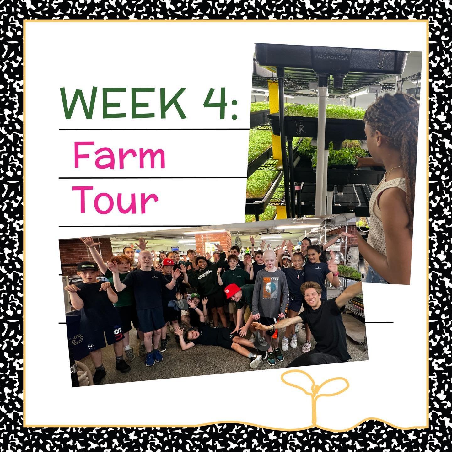 Week 4: an exhilarating tour at Boston Microgreens - Bostons&rsquo; premier urban farm. Students immerse themselves in the colors, stories and towering grow racks. They also get to see how what they learned in class can come to life on a commercial s