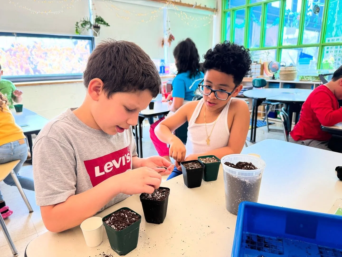 It&rsquo;s hard to believe that these little seeds will turn into visible plants in only a few days! One of the great miracles of life. For now let&rsquo;s tuck them in and make sure they have enough space and water - germination is bound be to succe