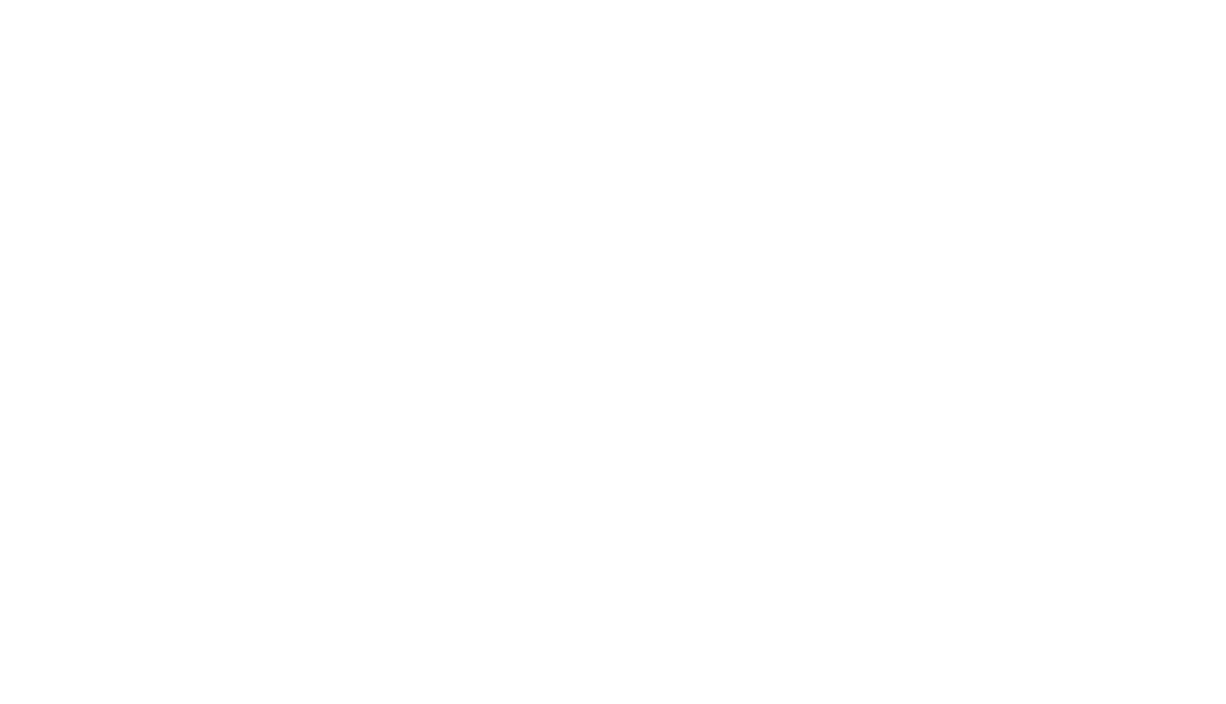 STRETCH LOGO-WHITE.png