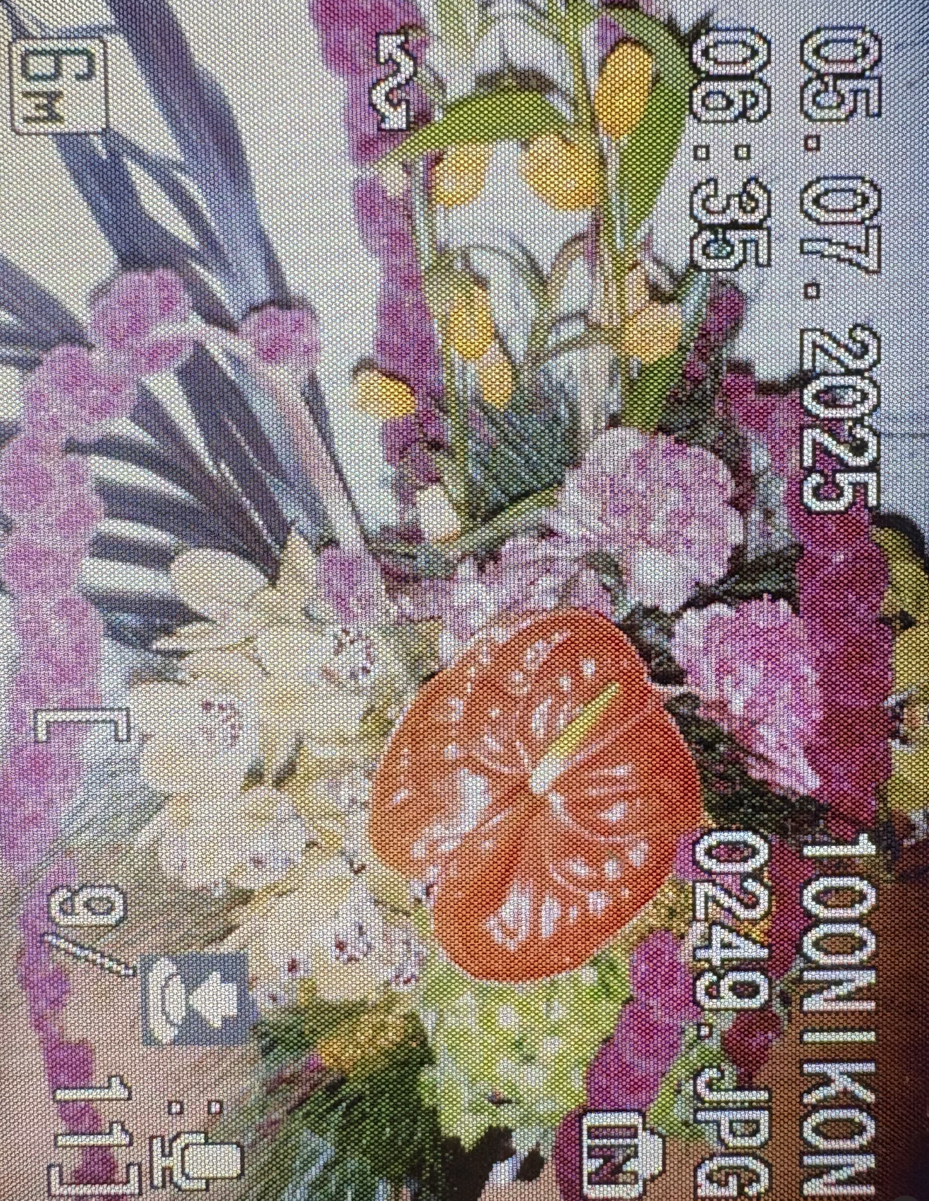 Screenshot 2026-01-28 at 10.23.15 AM.png