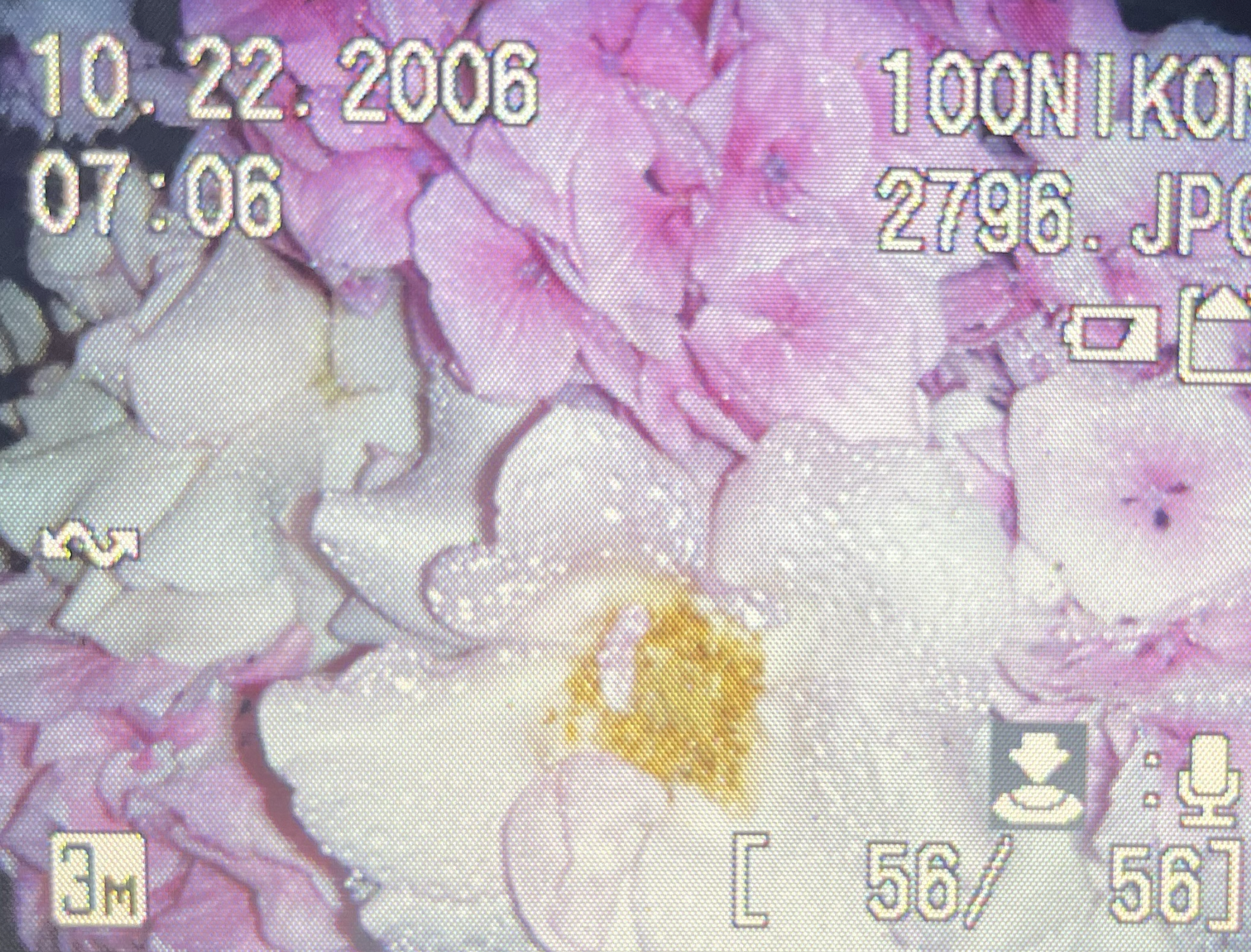 Screenshot 2026-01-28 at 10.02.42 AM.png