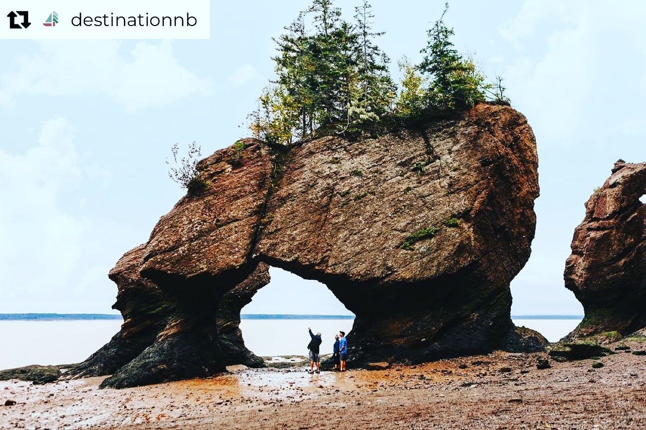 One of the top rated things to do when you sail to Saint John on a Canada New England Cruise! The Hopewell Rocks! 🤩

*****

Sometimes seeing the sheer scale of your favourite landscapes gives you a new take. Who will you invite to explore with you u