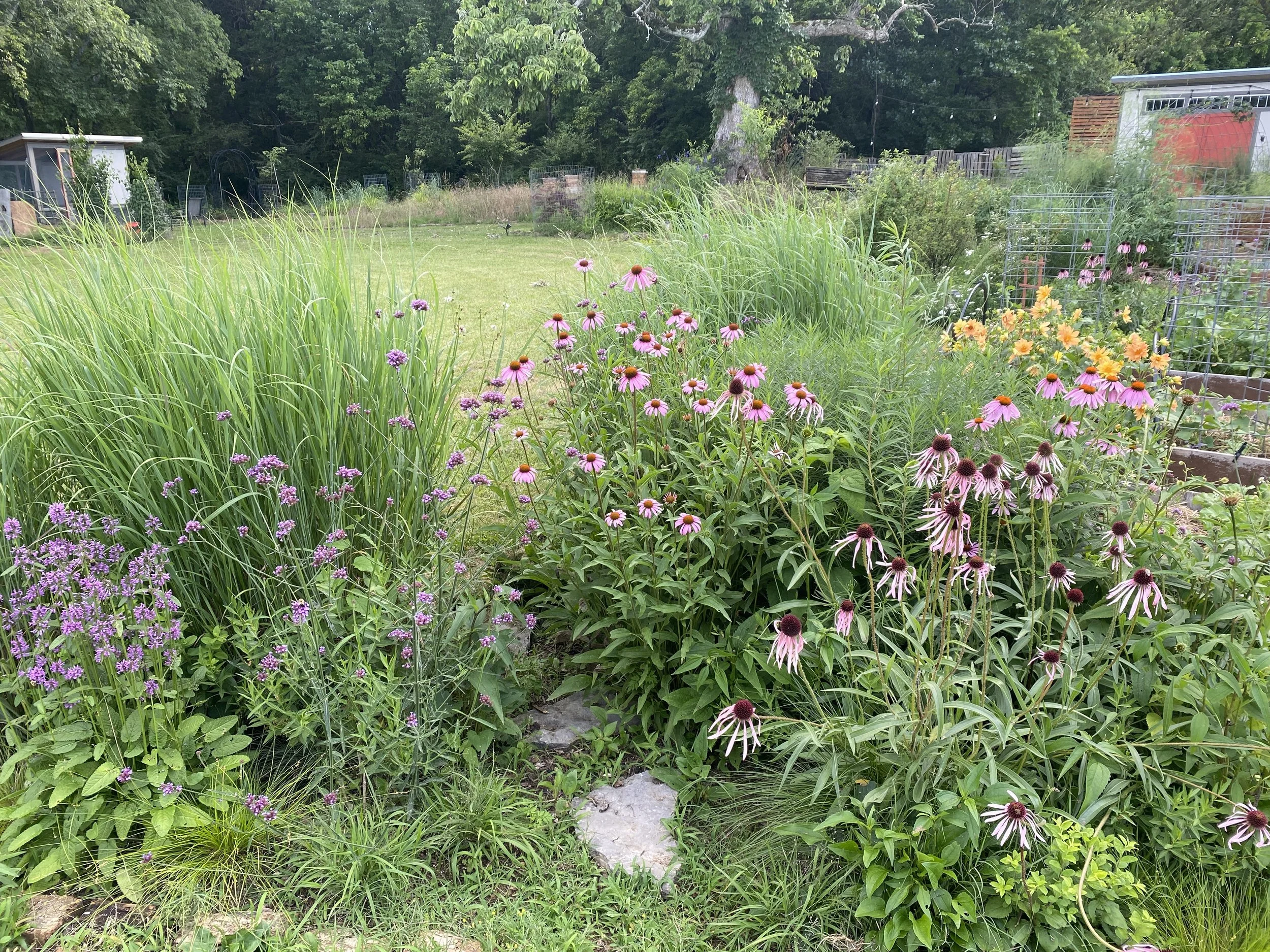 A lush garden with a variety of flowering plants including purple, yellow, and pink flowers, green grass, and trees in the background.