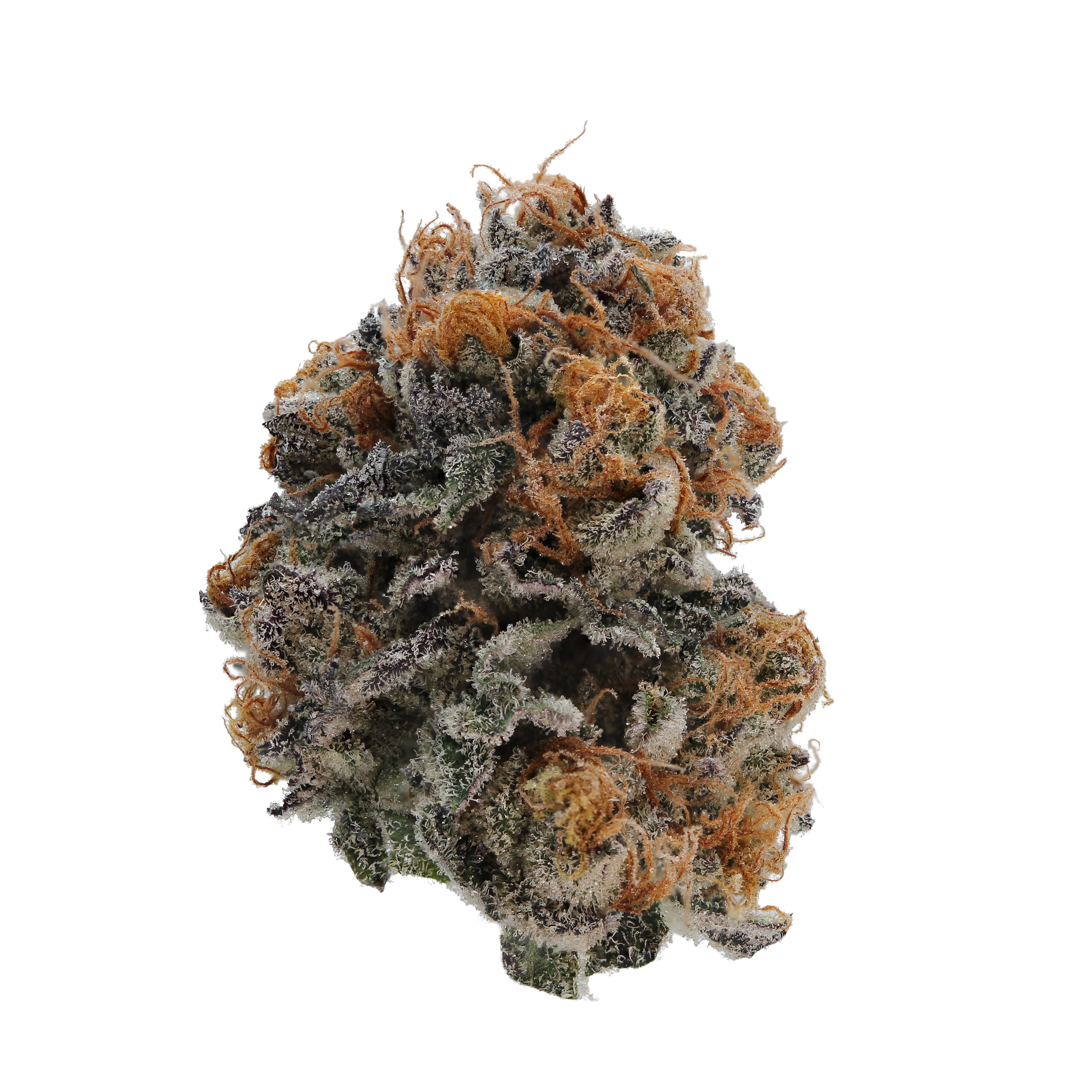cadillac rainbow strain