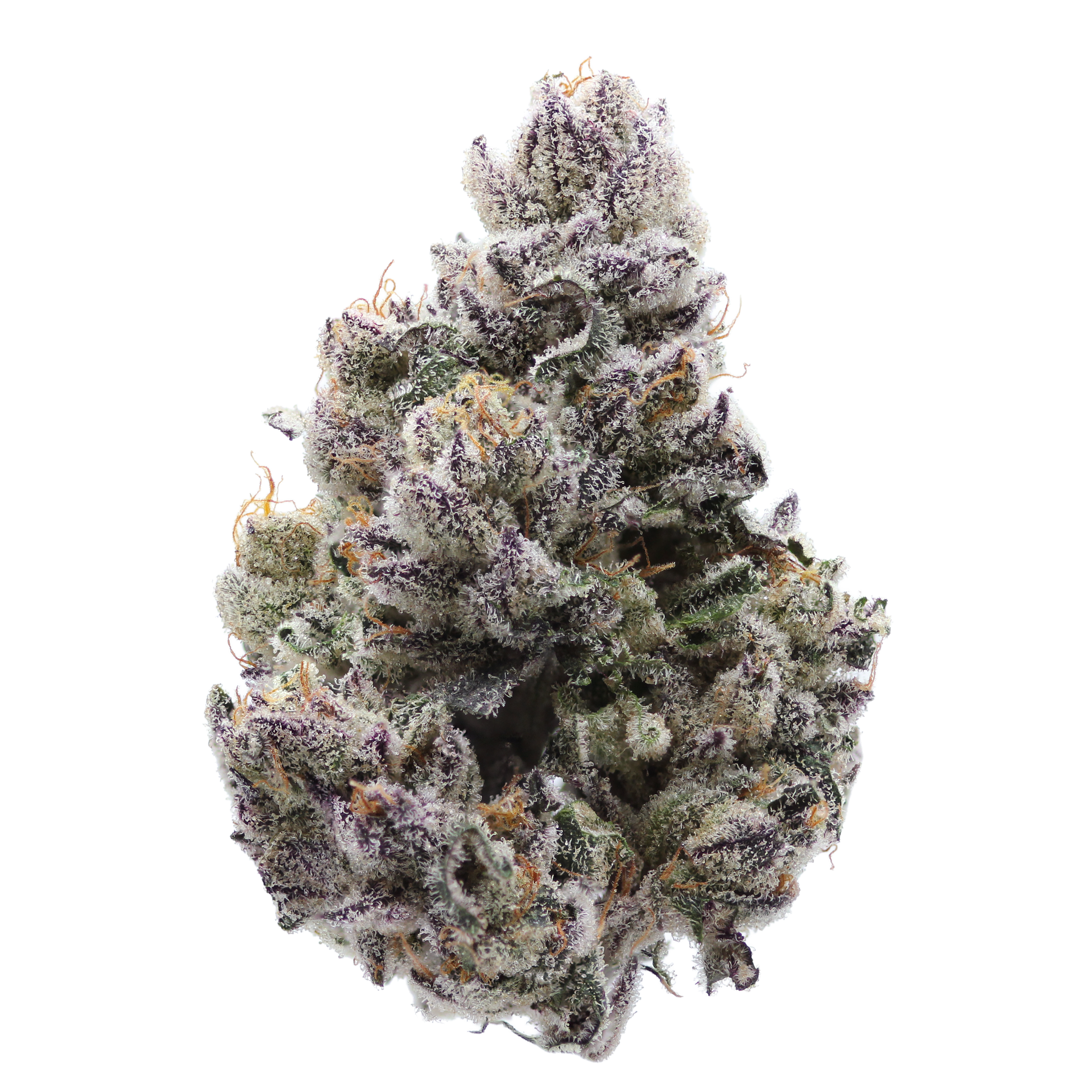 twisted terpz strain