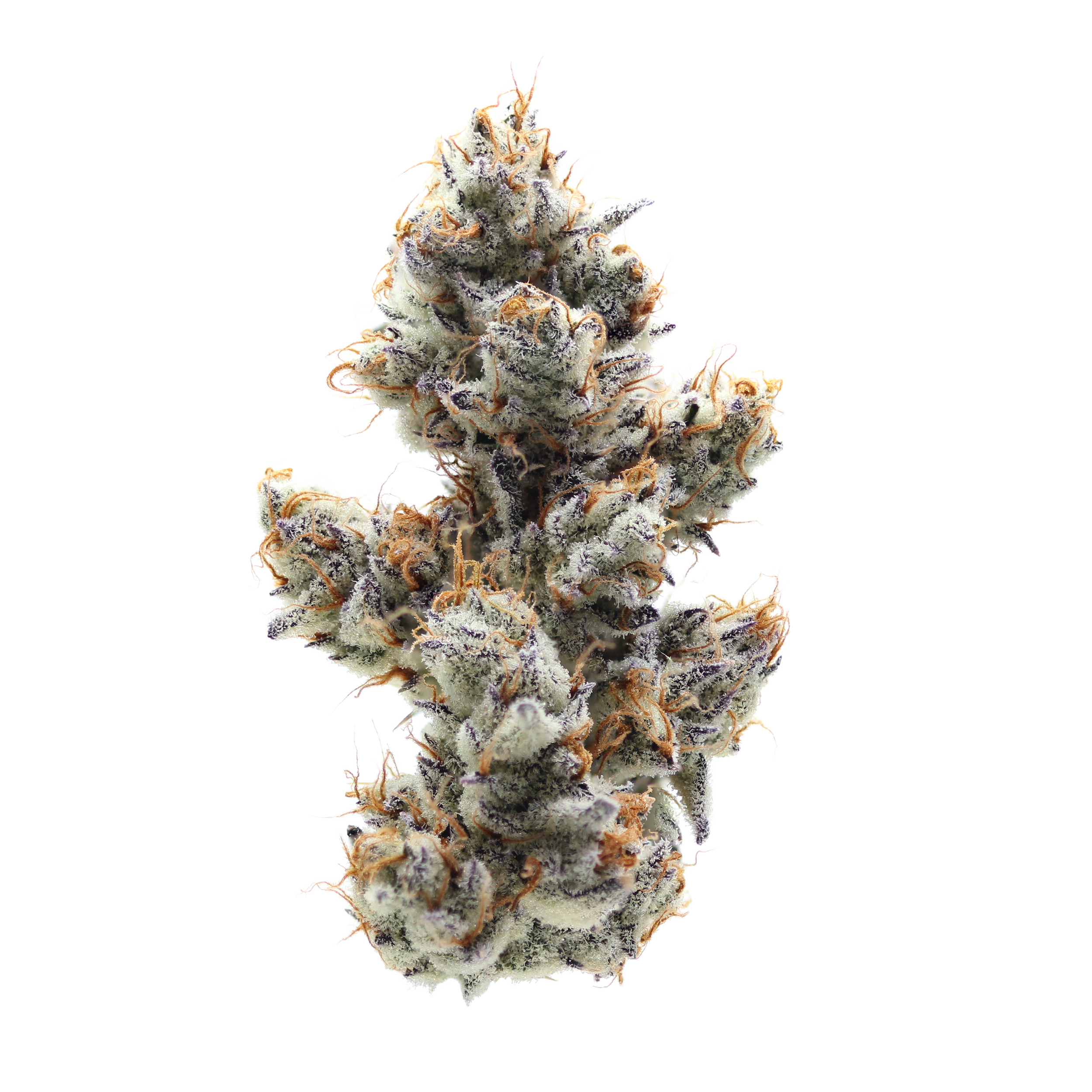 dantes inferno strain