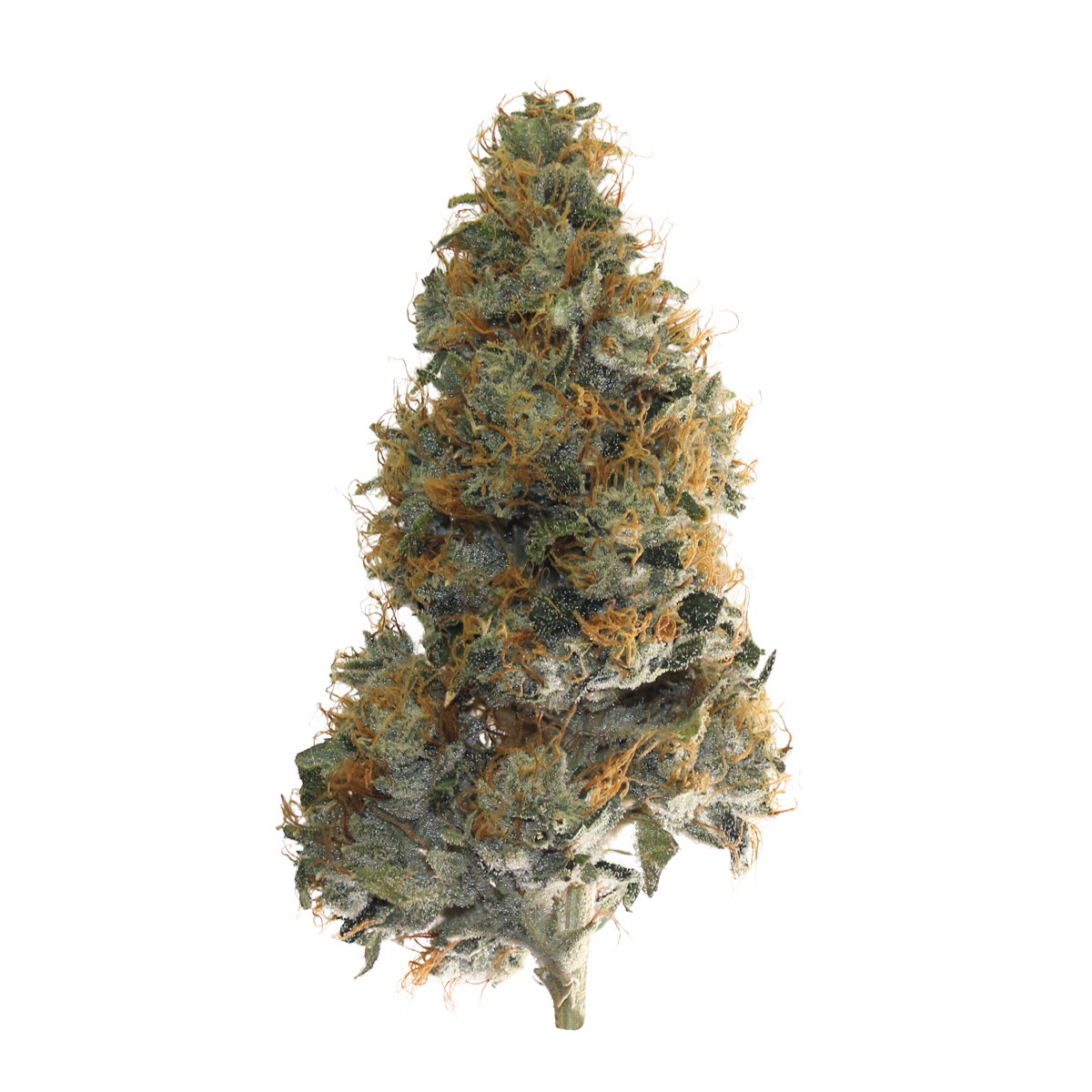 godfather og strain