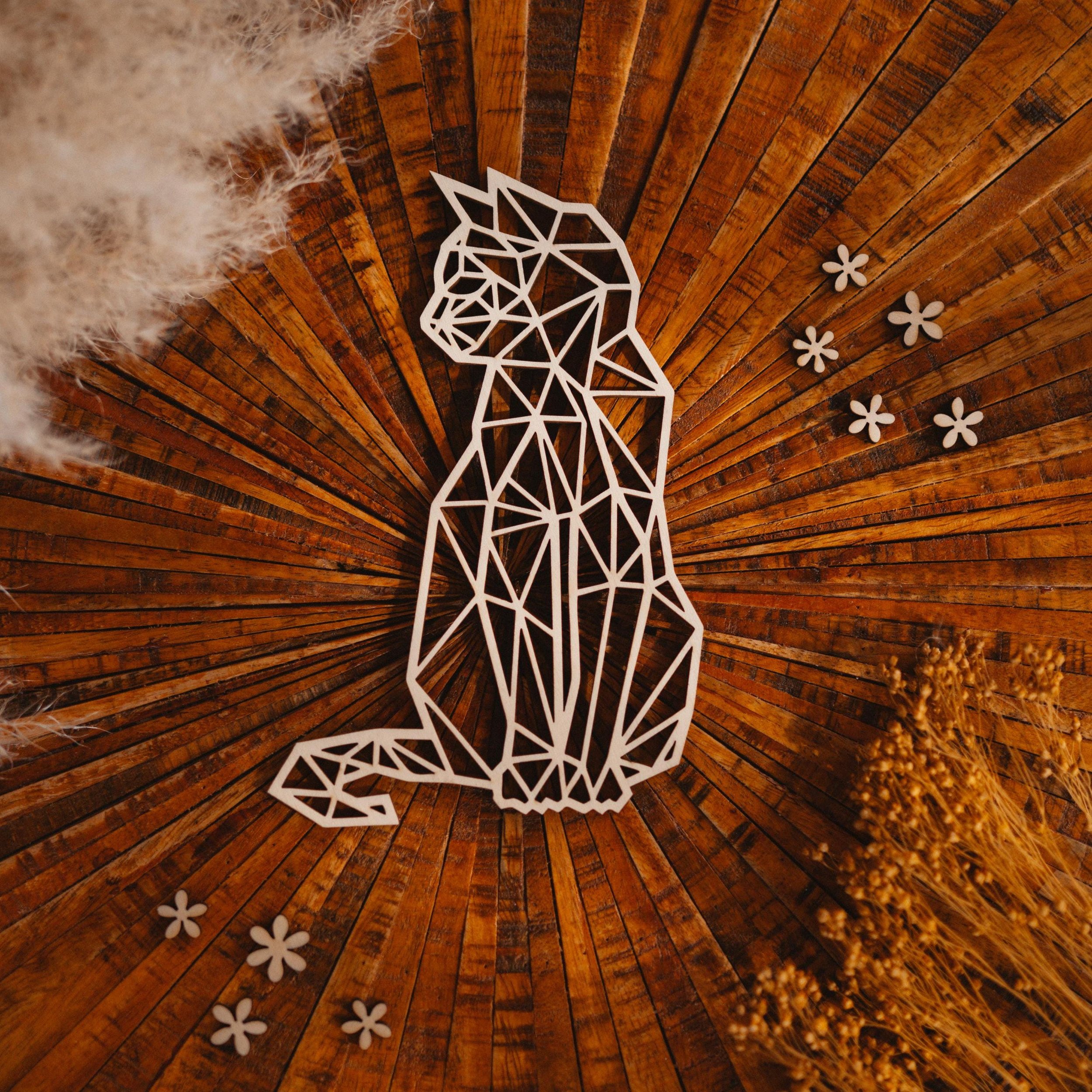https://i.etsystatic.com/53936778/r/il/414f7c/6718074600/il_fullxfull.6718074600_e5ah.jpg