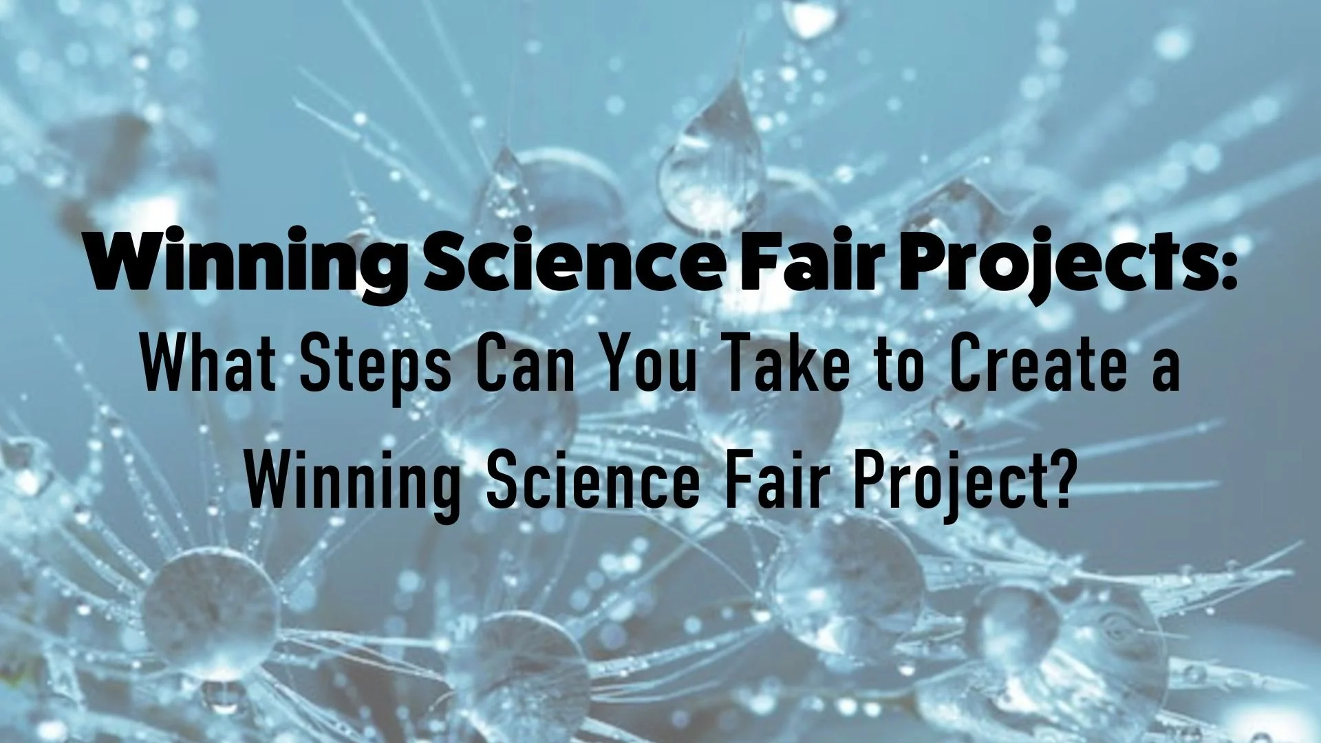 Winning Science Fair Projects: What Steps Can You Take to Create a