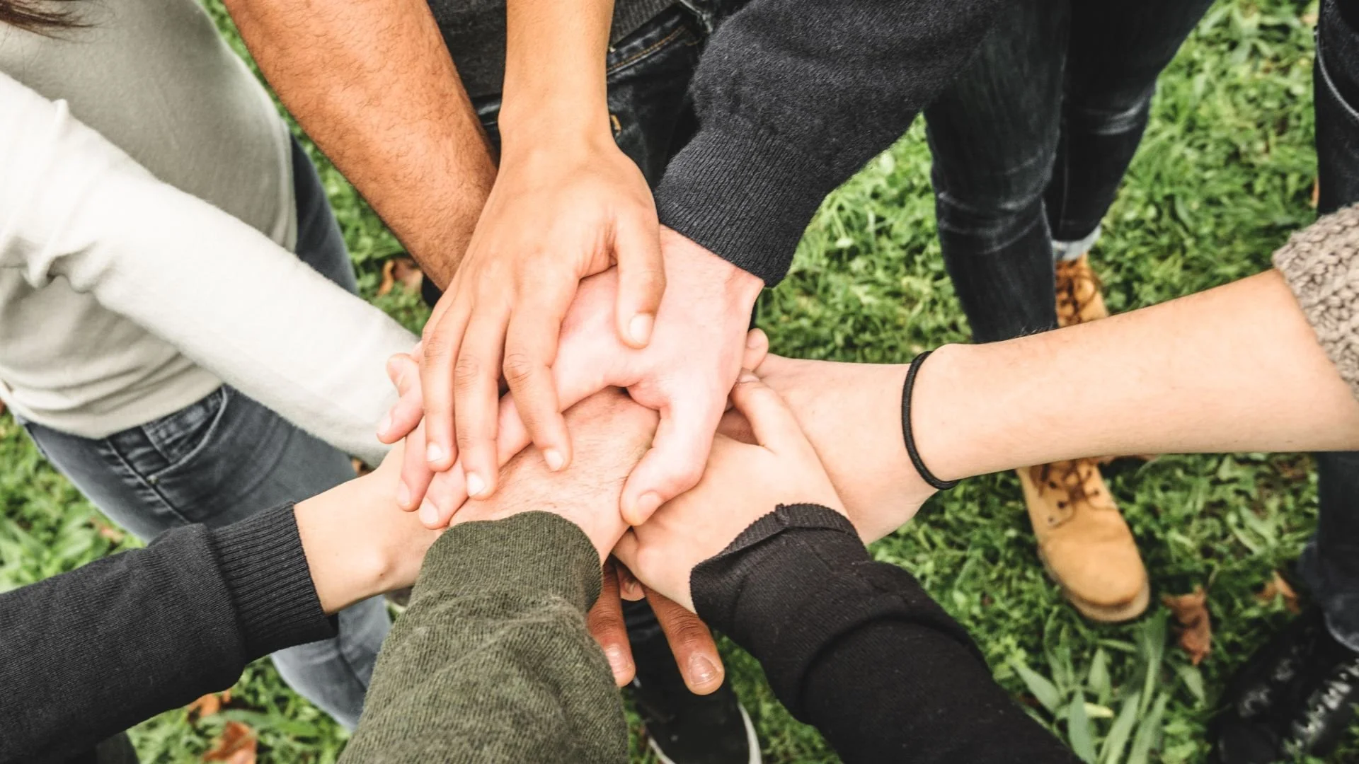 20 Volunteer Opportunities for High School Students: Ideas for Getting Involved in Volunteer Work as a High Schooler