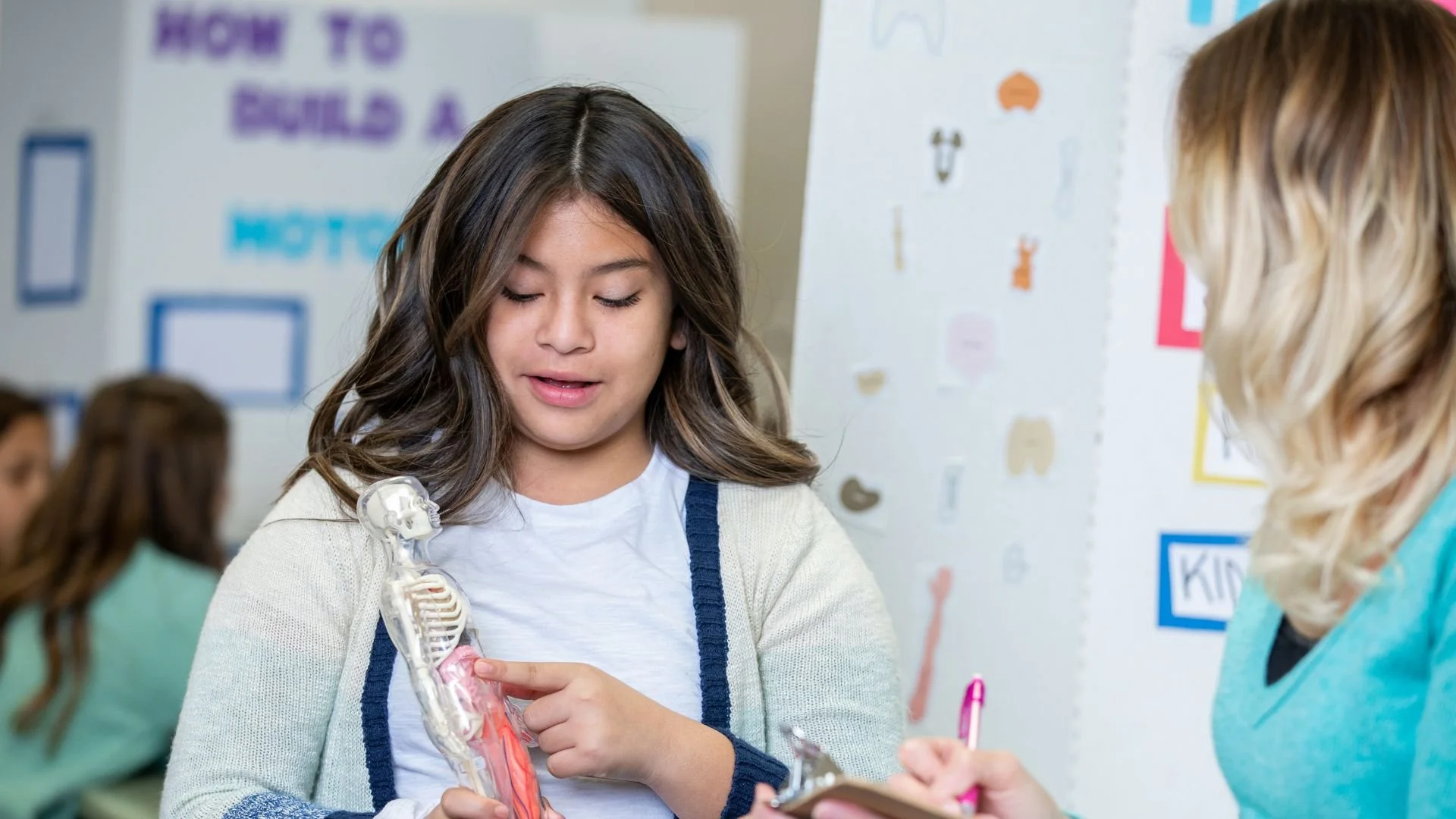 Science Fair Ideas for 7th Grade: A Success Formula for 7th Grade Science Fair Projects
