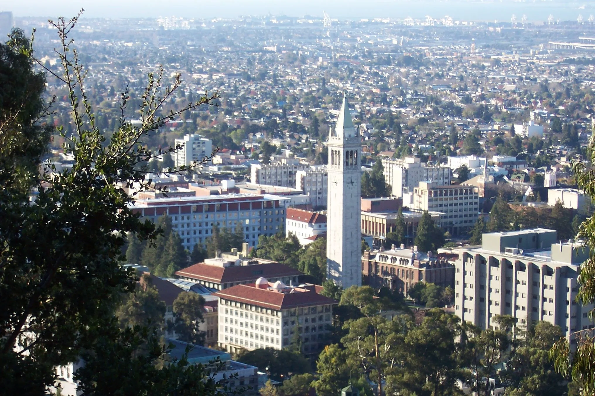 9 UC Berkeley Summer Programs for High School Students