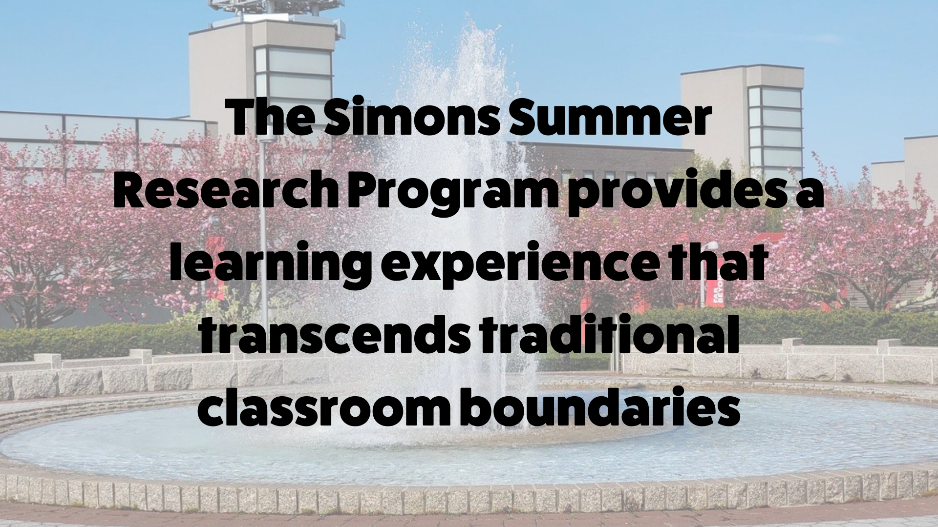 simons summer research program essays