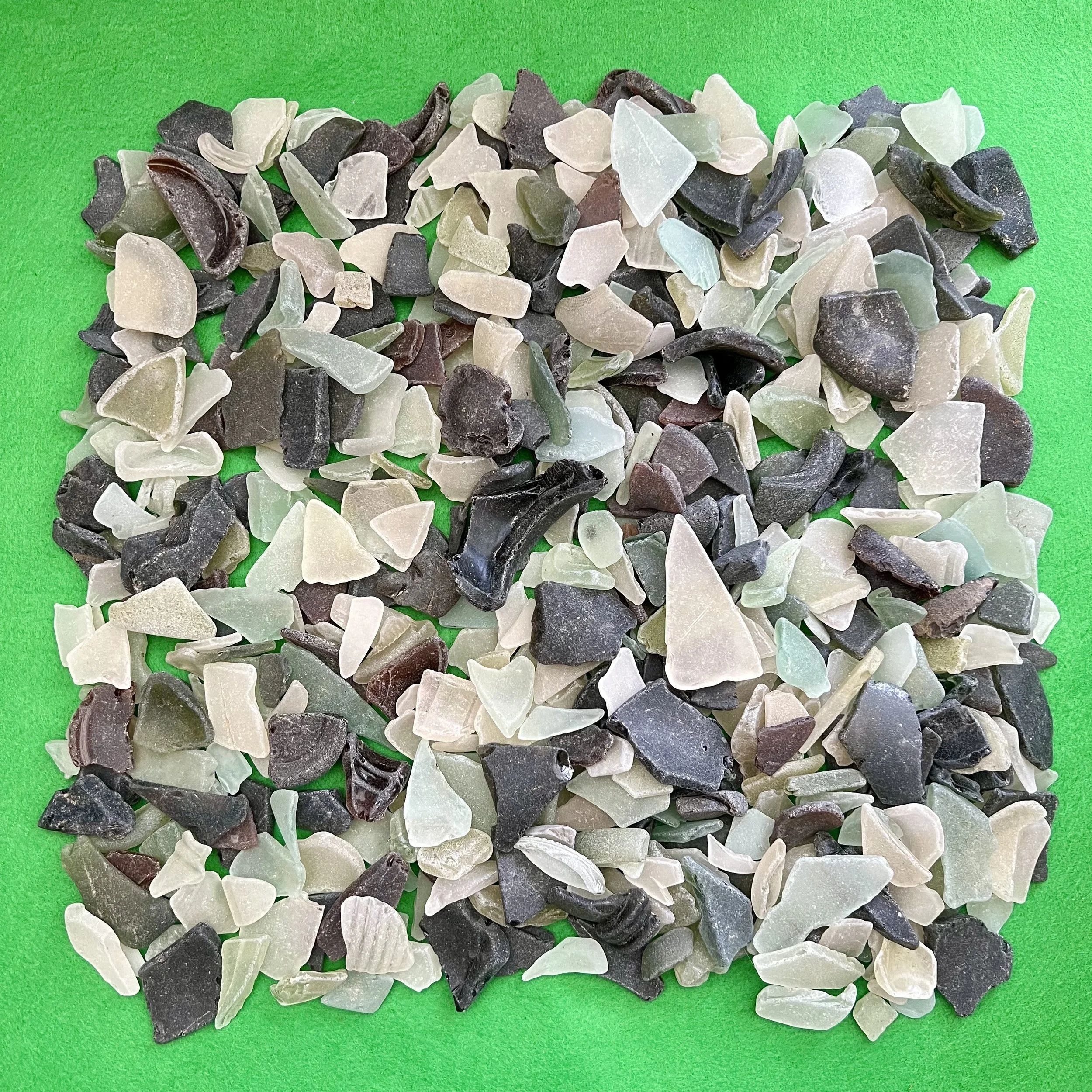 River Thames | 01-03-26 | Big shark teeth.