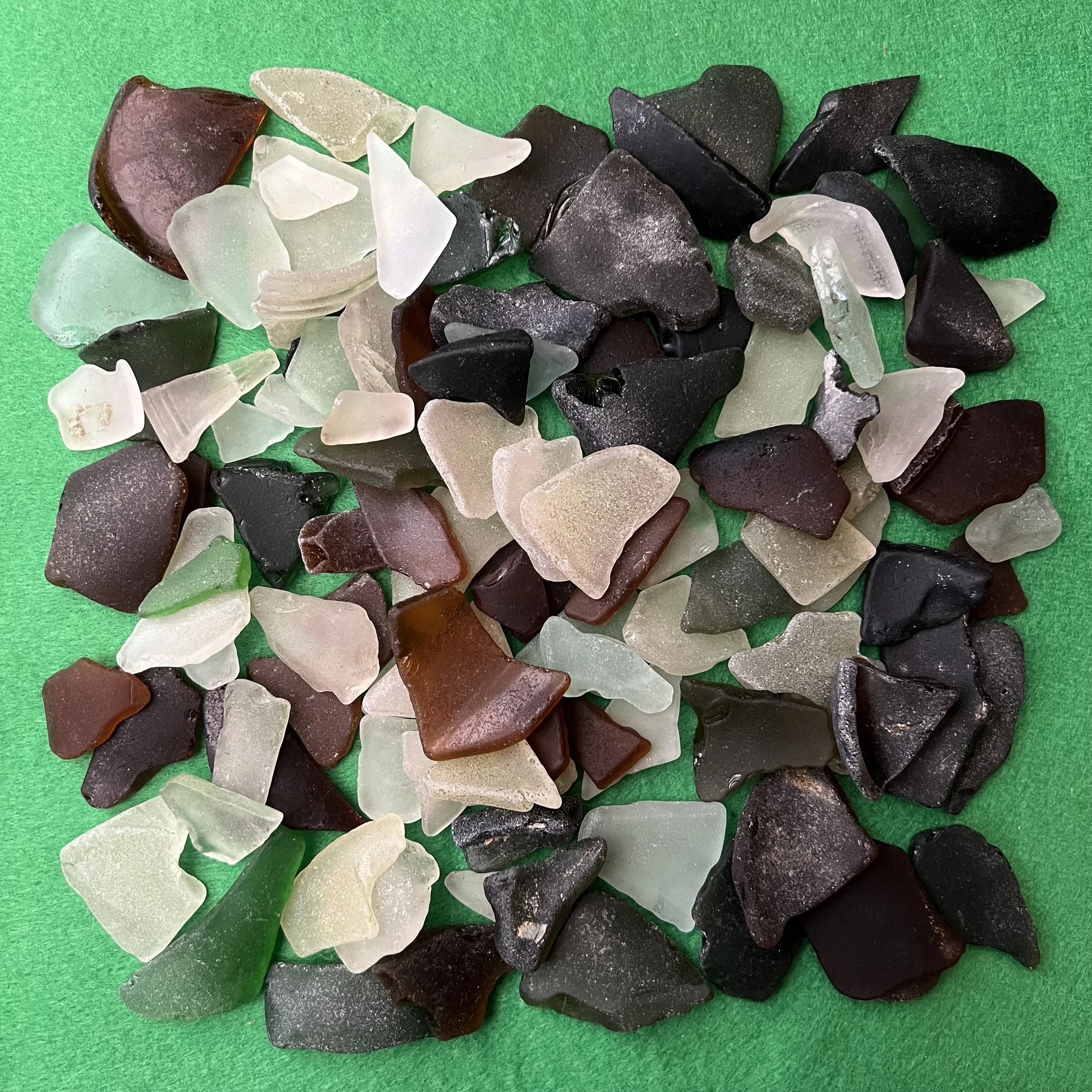 River Thames | 06-03-26 | Shark fins this time?