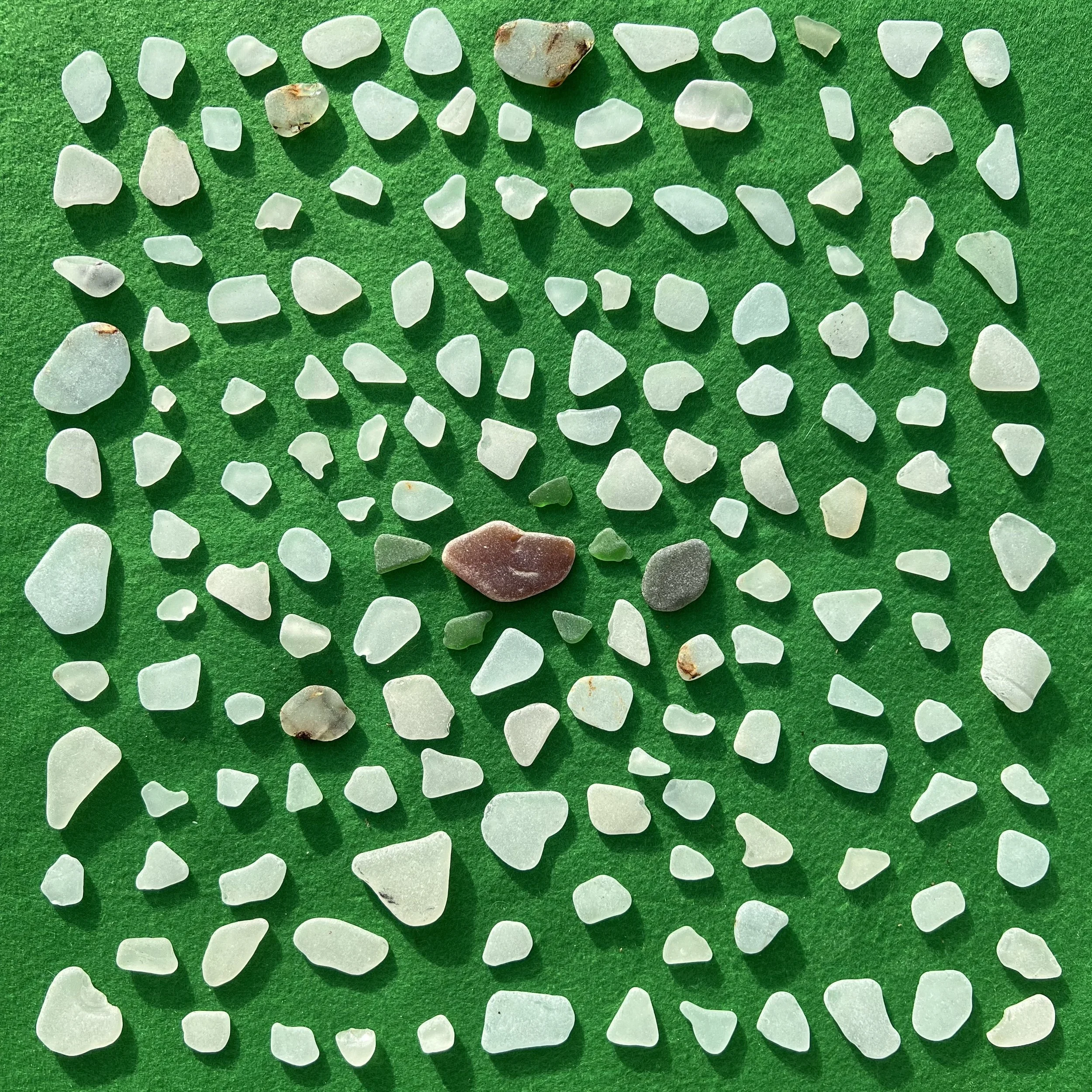 Minster | 20-03-26 | Mighty amber bit.