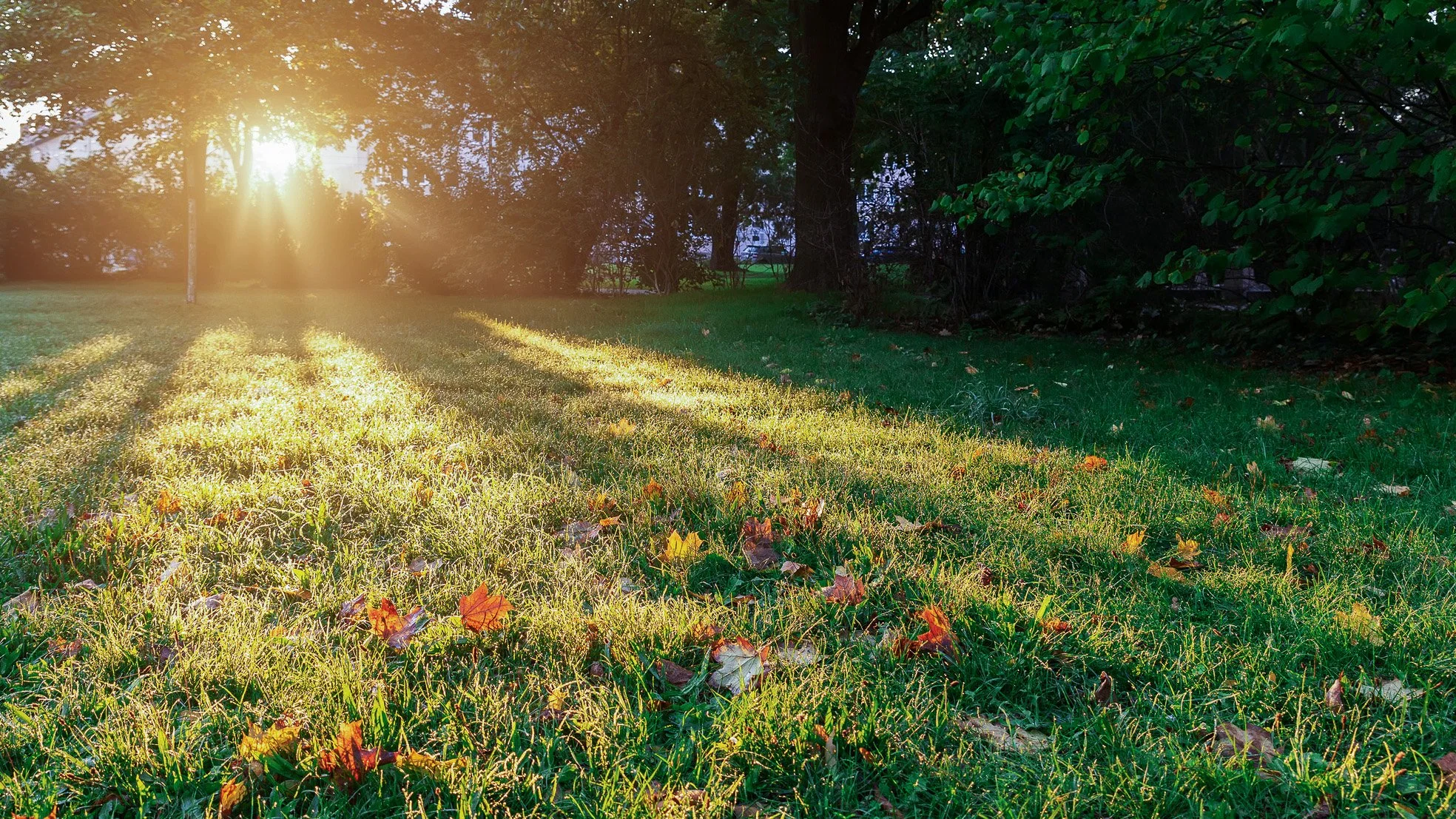 Navigating Father’s Day: How to Cope with Losing Your Dad or Child