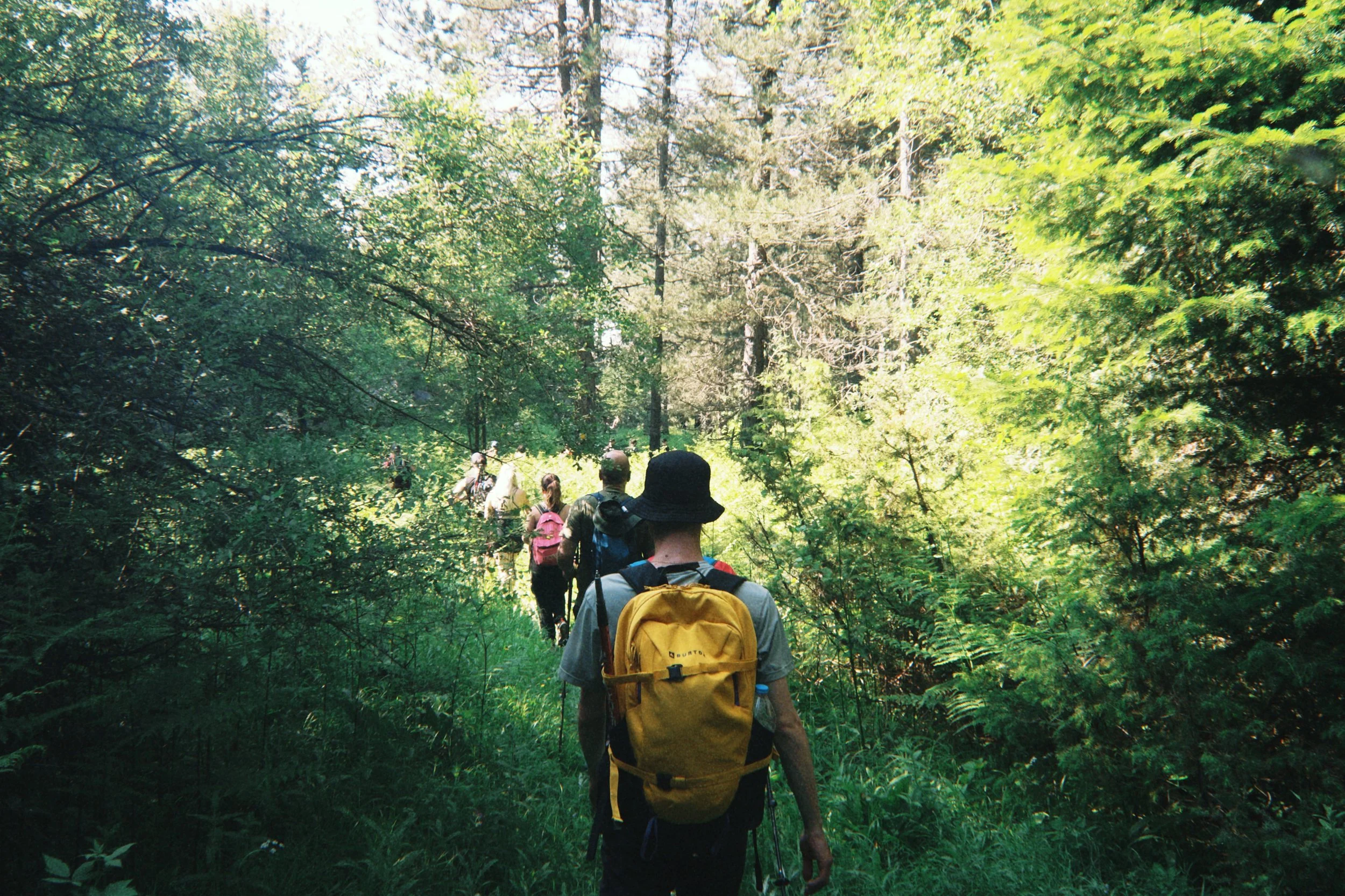 fqs 2025-06-14 174022.321.jpeg