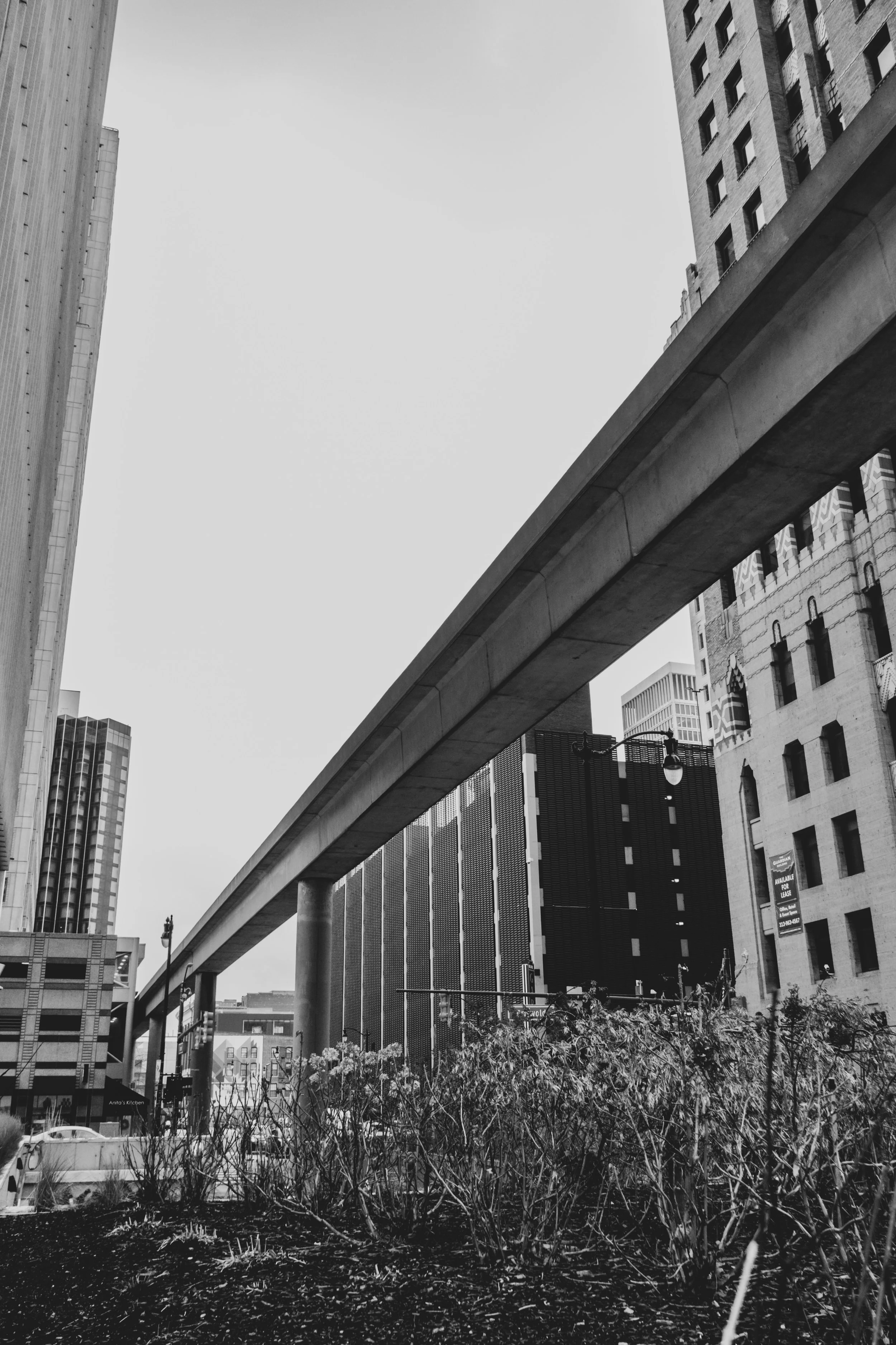 DSCF8130.jpg