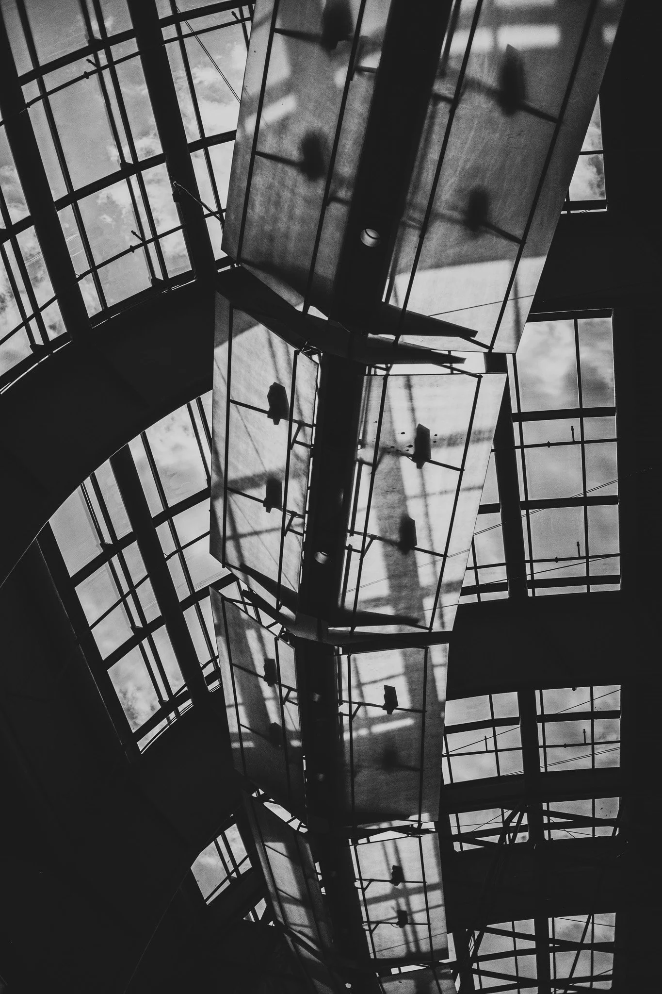 DSCF6887.jpg
