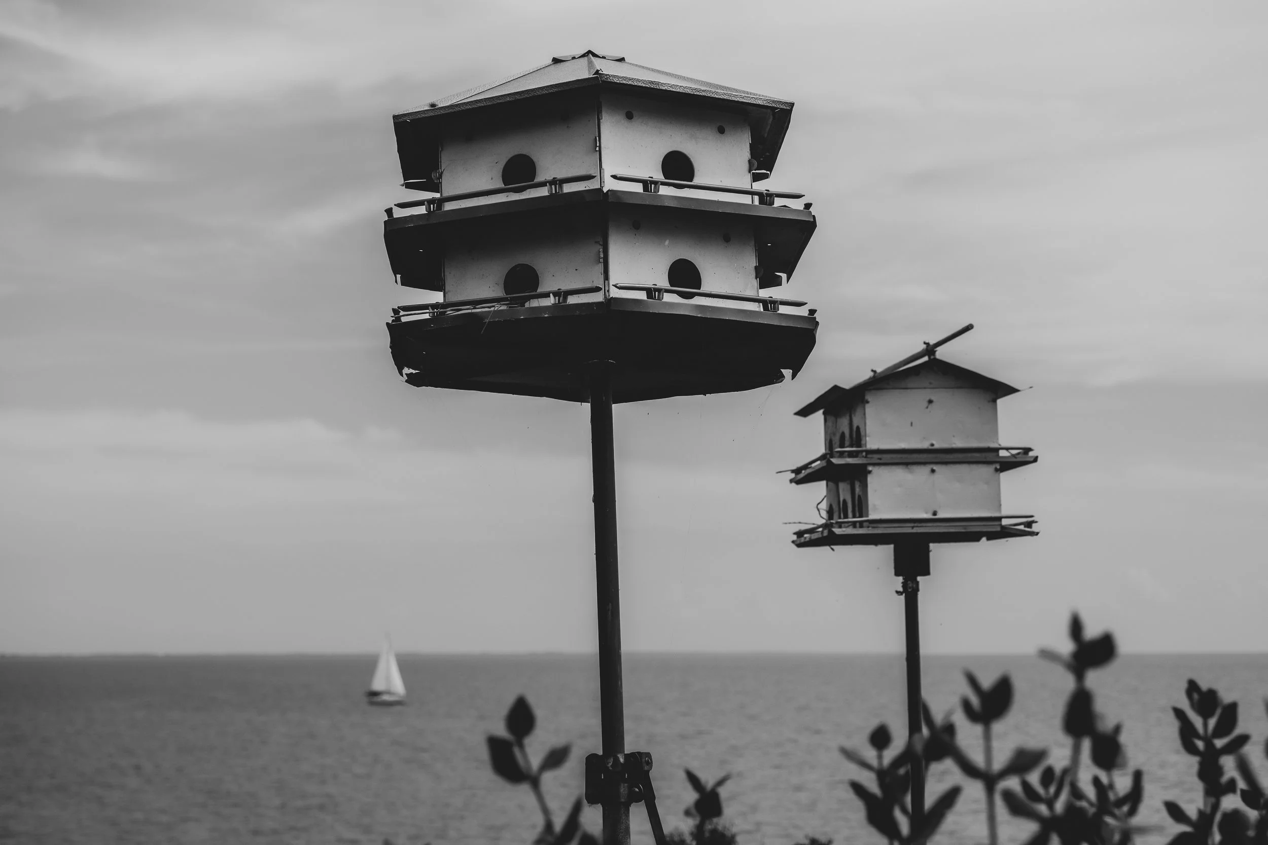 DSCF6689.jpg