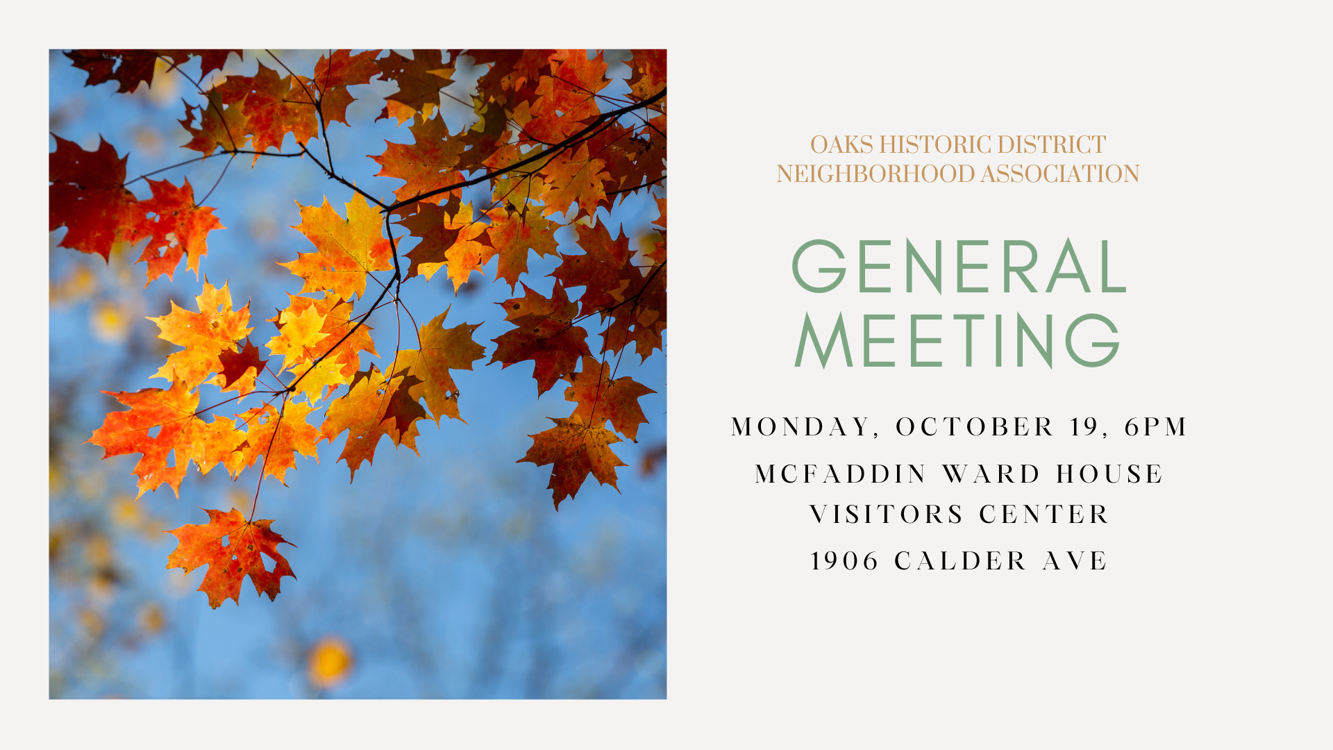 OHD General Meeting