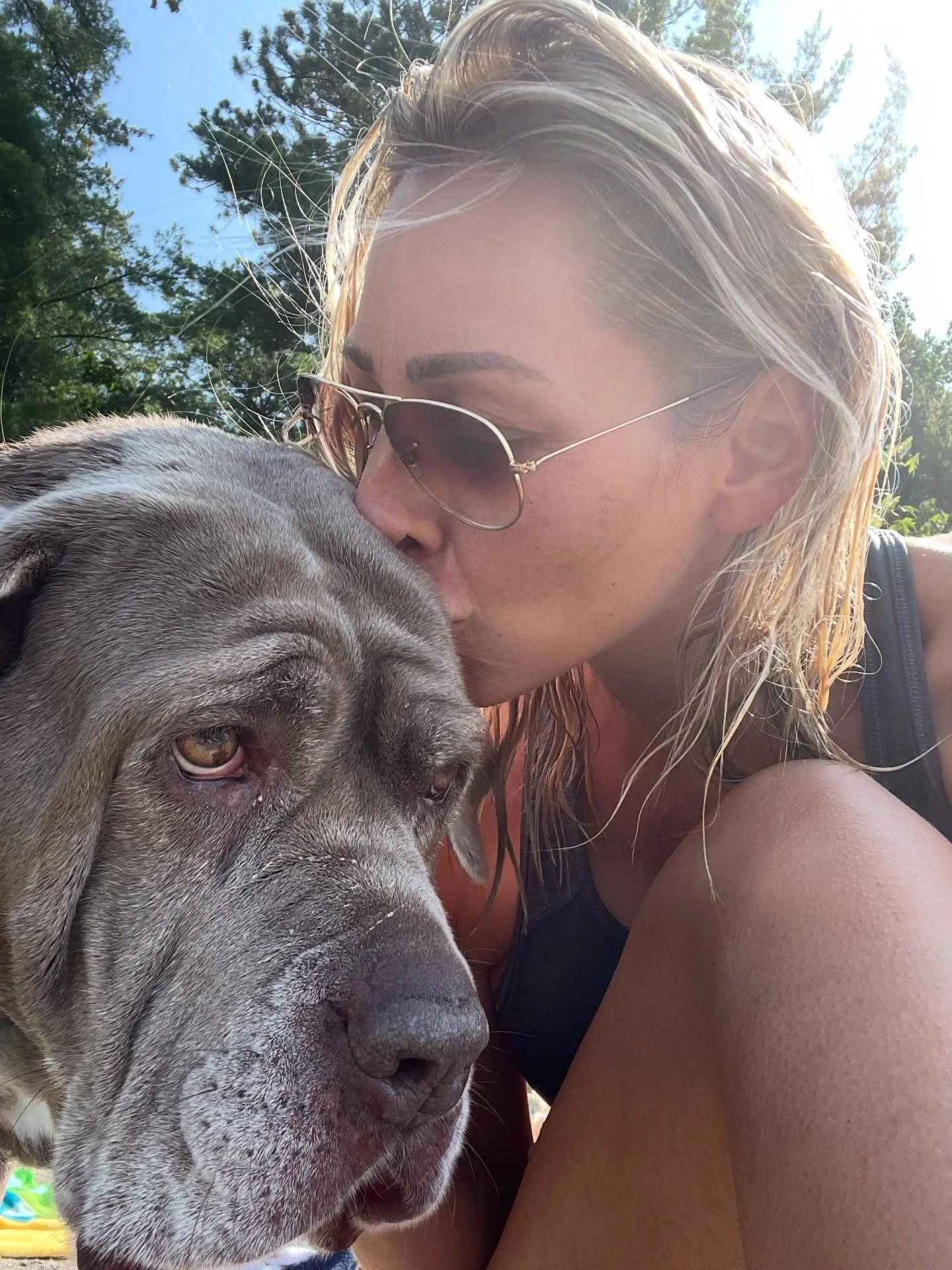 One year ago today, this beautiful soul left us. 

Suddenly. Unexpectedly. Tragically.

Honey Bear was my shadow. My companion. My comfort blanket. My security guard. 

I didn&rsquo;t know  how much I relied on her until she was gone. 

It&rsquo;s ta