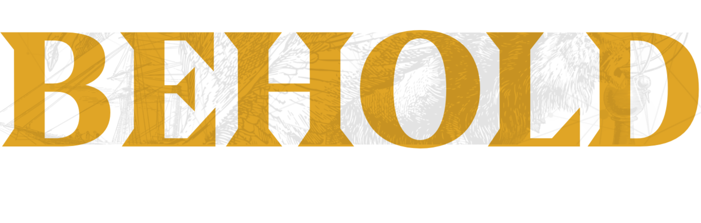 The word 'BETHOLD' written in large, stylized black and gold letters.