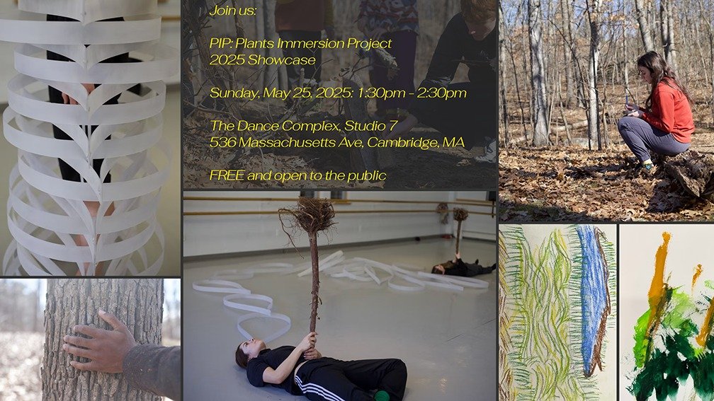 Excited to participate in this very cool 3 day immersive residency with Boston Dance Theater: Plant Immersion Project. Rooted in the intersection of art, science, and care, PIP offers a space to reflect on our relationship with the natural world and 