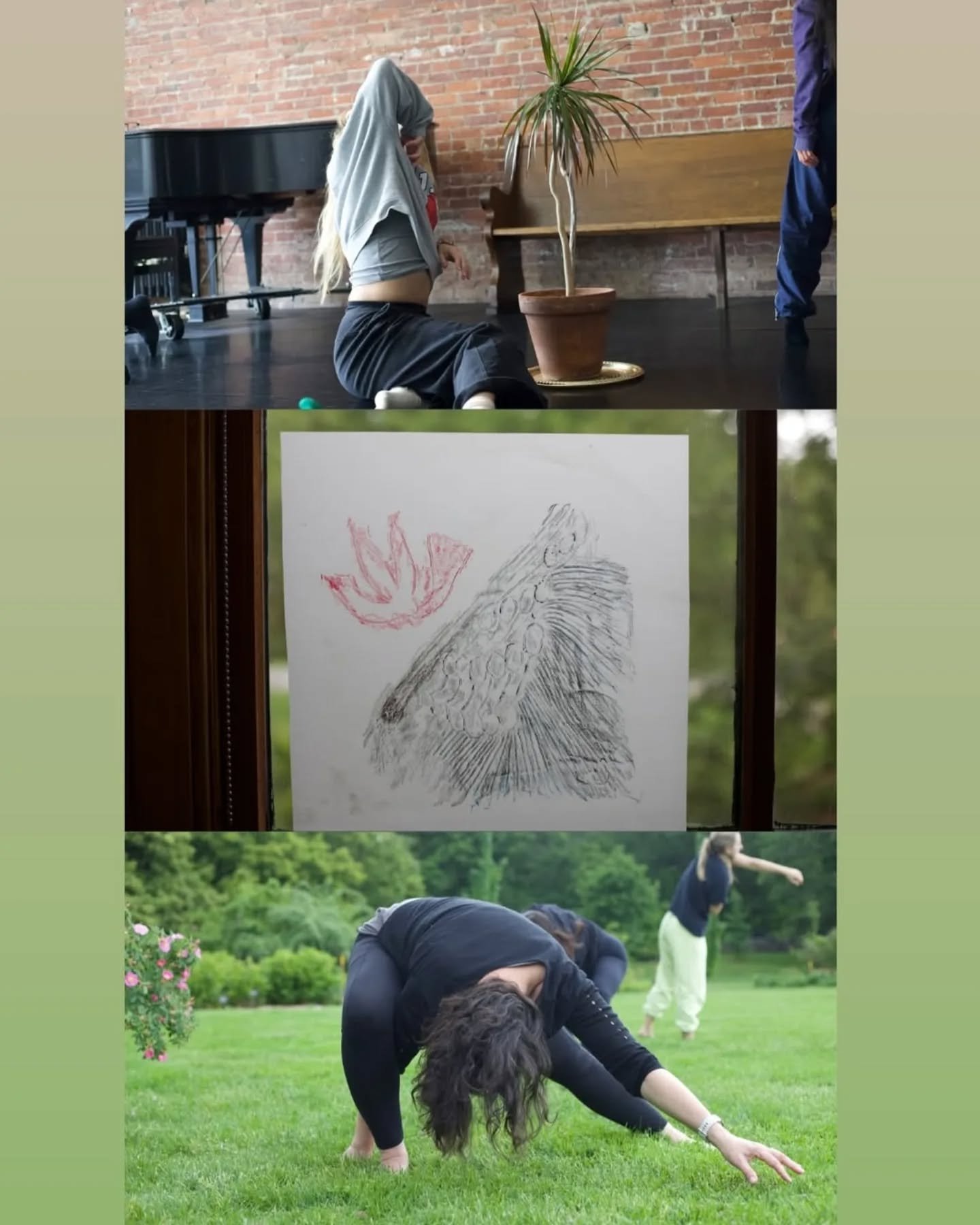 Finally day of the Plant Immersion Project with Boston Dance Theater, showcase at 1:30 today

Come be with plant time, decentralized intelligence, cooperation, diffuse attention, emergent landscapes, ecosystem rules 

At the Dance Complex, Cambridge 