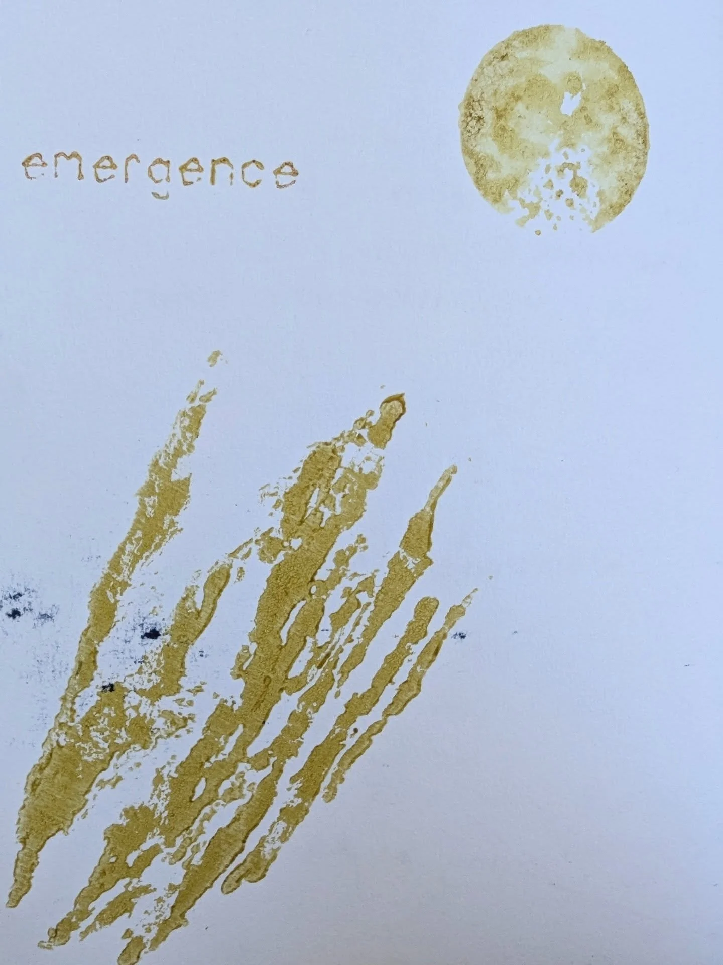 Emergence is the aspect of ailanthus' being that we are calling up and finding in our lives during next Tuesday's Urban Tree Oracle Gathering (6:30 at the Arnold Arboretum, link in bio to register).&nbsp; adrienne maree brown's book on emergent strat