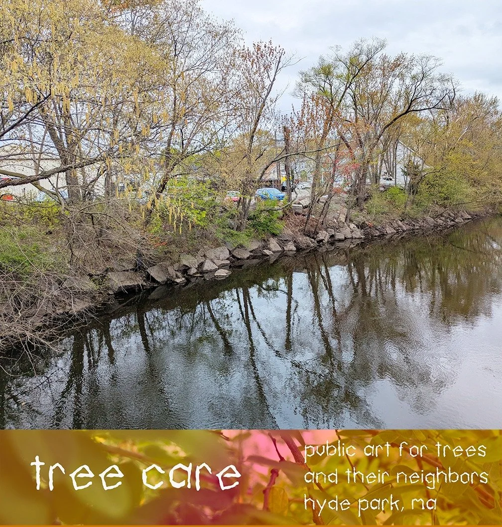 A newly formed Community Land Trust in Hyde Park, with community organizations including the SWB CDC and the Neponset River Access Committee is acquiring a small scrappy piece of riverfront land along the Neponset River to return to the commons.

I w