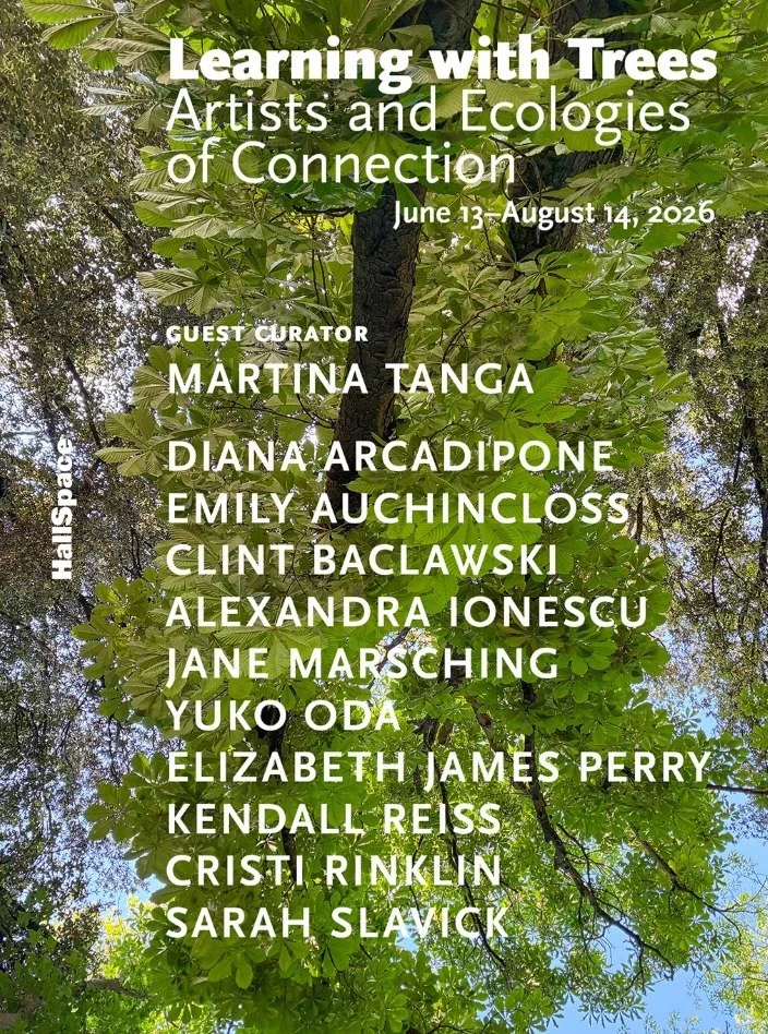 So many great artists in this exhibition, "Learning With Trees," curated by the amazing @martinatanga, great lover of trees, and organized with our city's great advocates for tree canopy equity @trees_boston 
The @hallspace exhibition will 