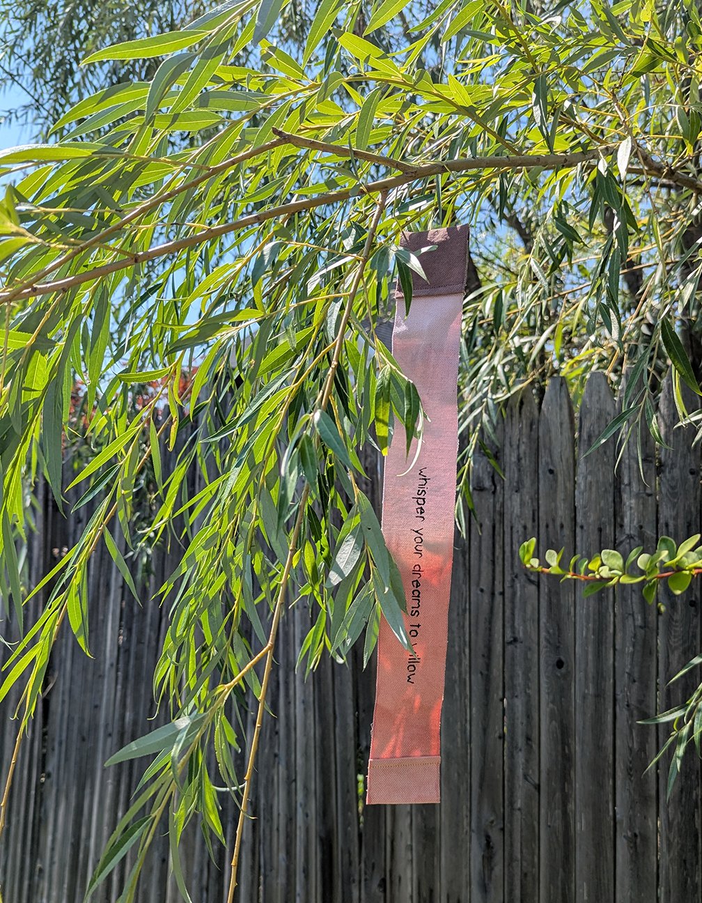 Tree Care Hyde Park Project Presentation