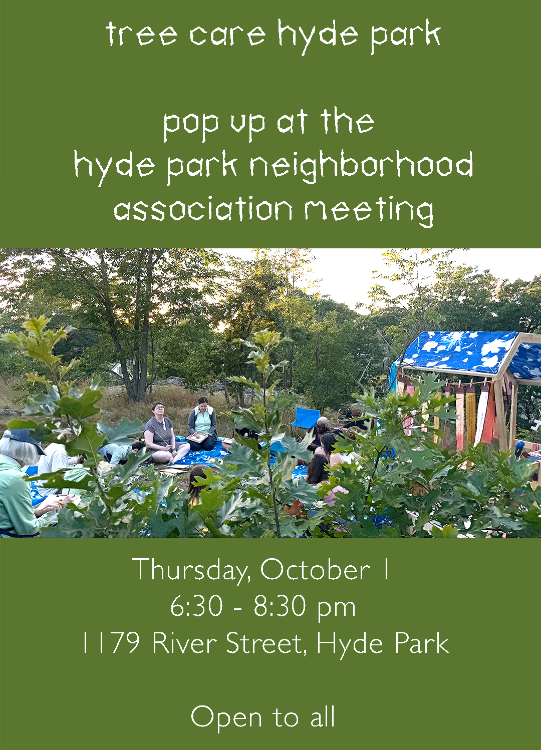 Tree Care Hyde Park Project Presentation