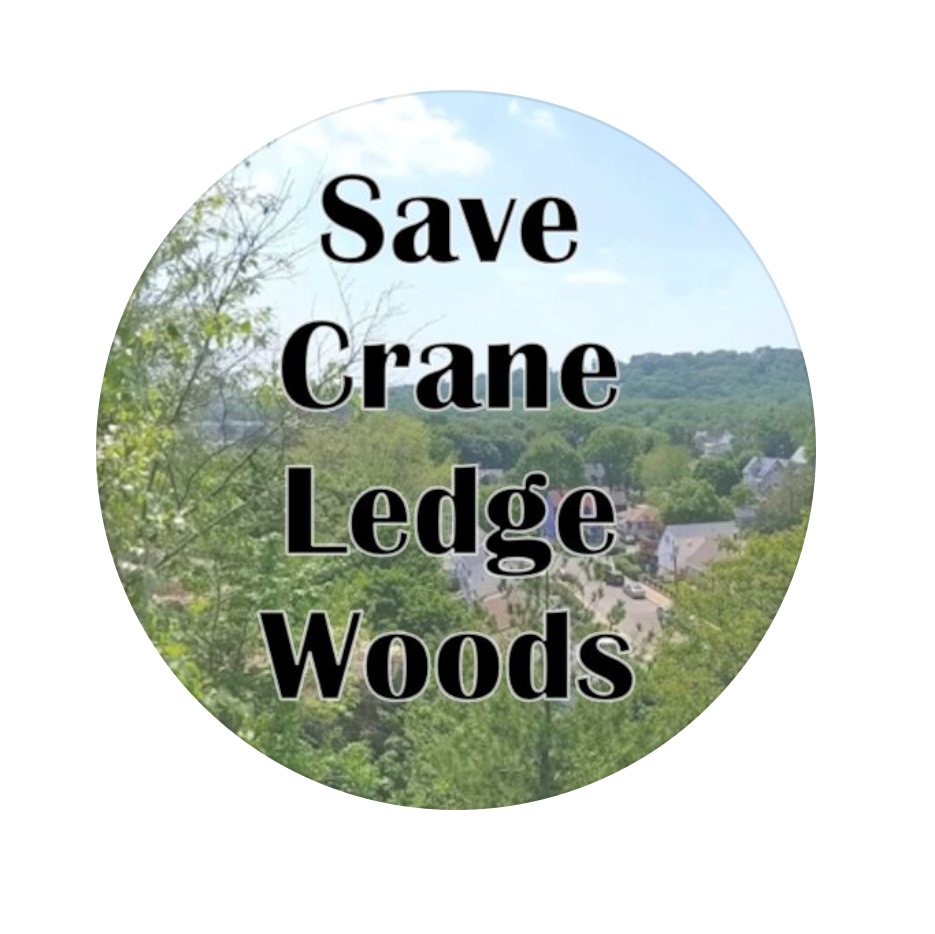 The Save Crane Ledge Woods Coalition is a group of Hyde Park, Mattapan, and Roslindale neighborhood associations, organizations, concerned residents and local advocates working to save a 24 acre urban wild from development.