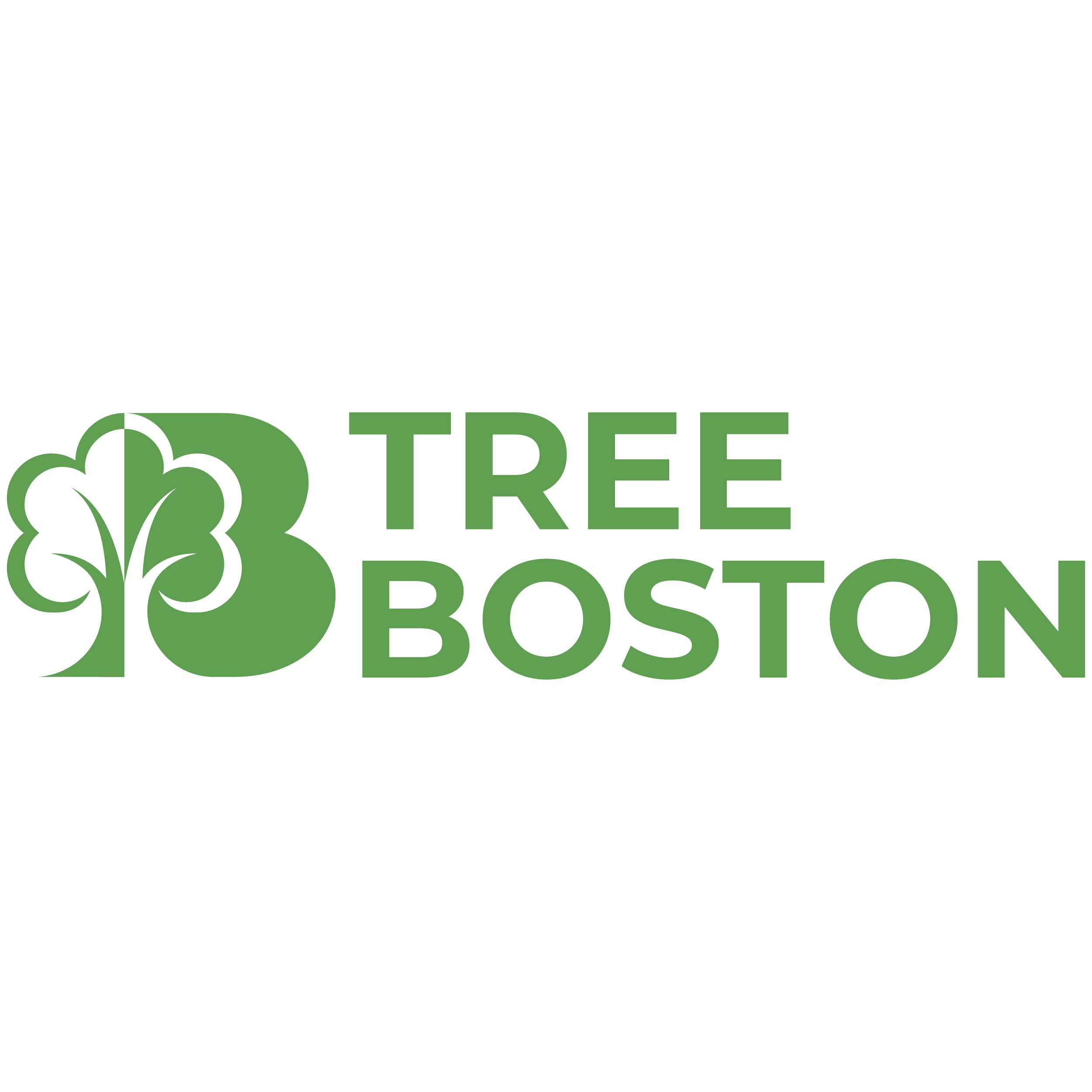 At Tree Boston, we care about trees because they care for us. We work at the intersection of environmental justice, public health, and climate change to advocate for a healthy and equitable urban forest in Boston. We recognize the inequities of tree 