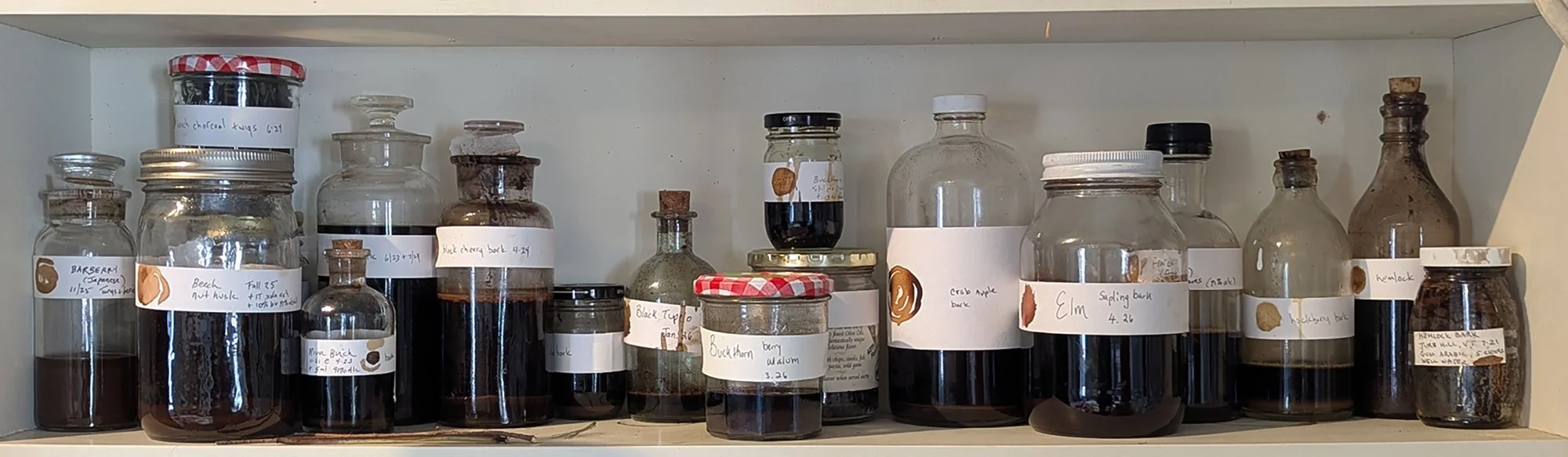 inkshelftchp.jpg