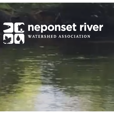 Since our founding in 1967, our mission has been to protect and restore the natural resources of the Neponset River, its tributaries, and surrounding watershed lands for the benefit of present and future generations.