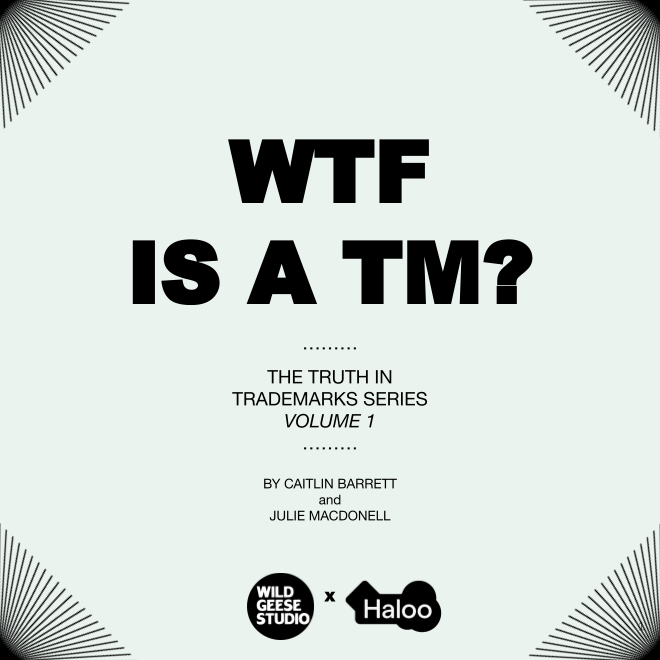 Truth in Trademarks Volume 1 WTF is a TM.png