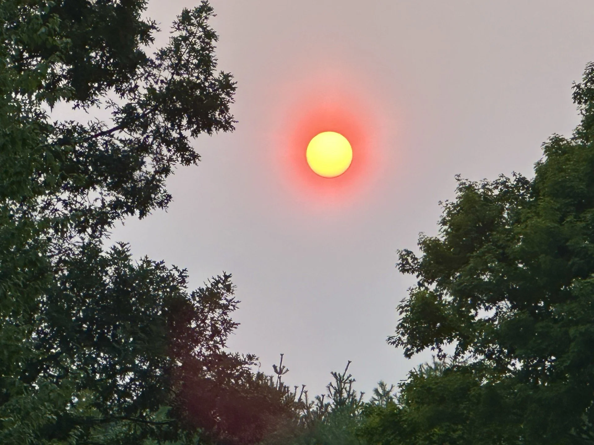 Girl of the Sun