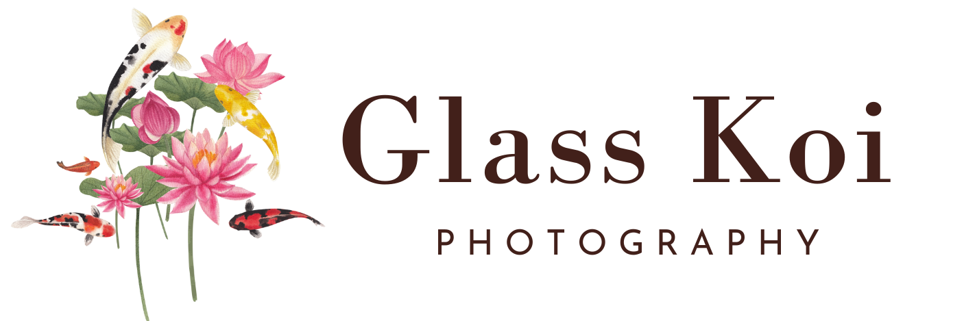 Glass Koi Photography