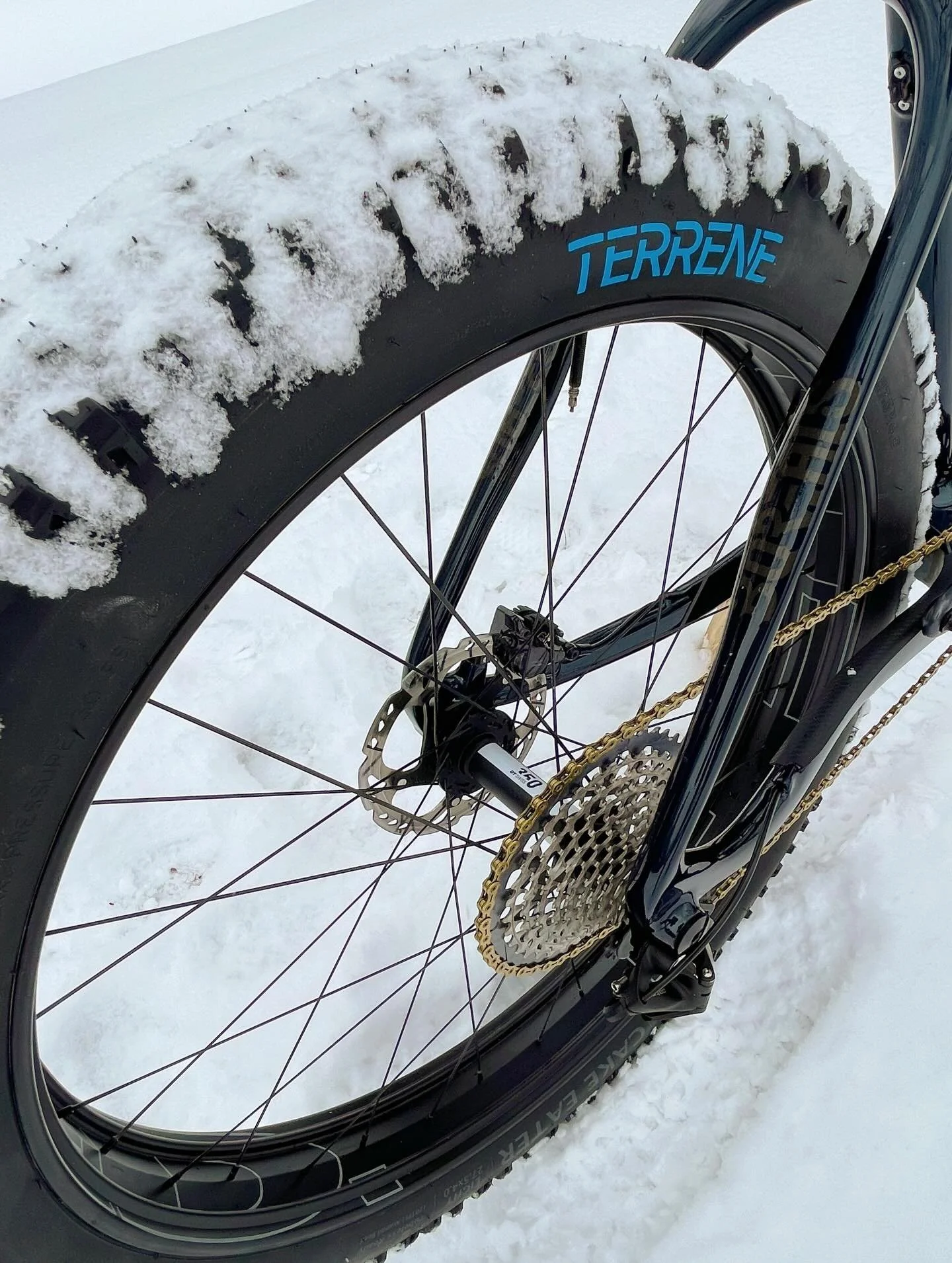Cool wheelset we built for a @borealisbikes Crestone.

HED B.A.D rims, tried and true DT 350 hubs, Sapim bladed spokes just cuz and fresh Cake Eaters.

There&rsquo;s a lot of winter left and not too late for custom fat bike builds! Full builds, Wheel