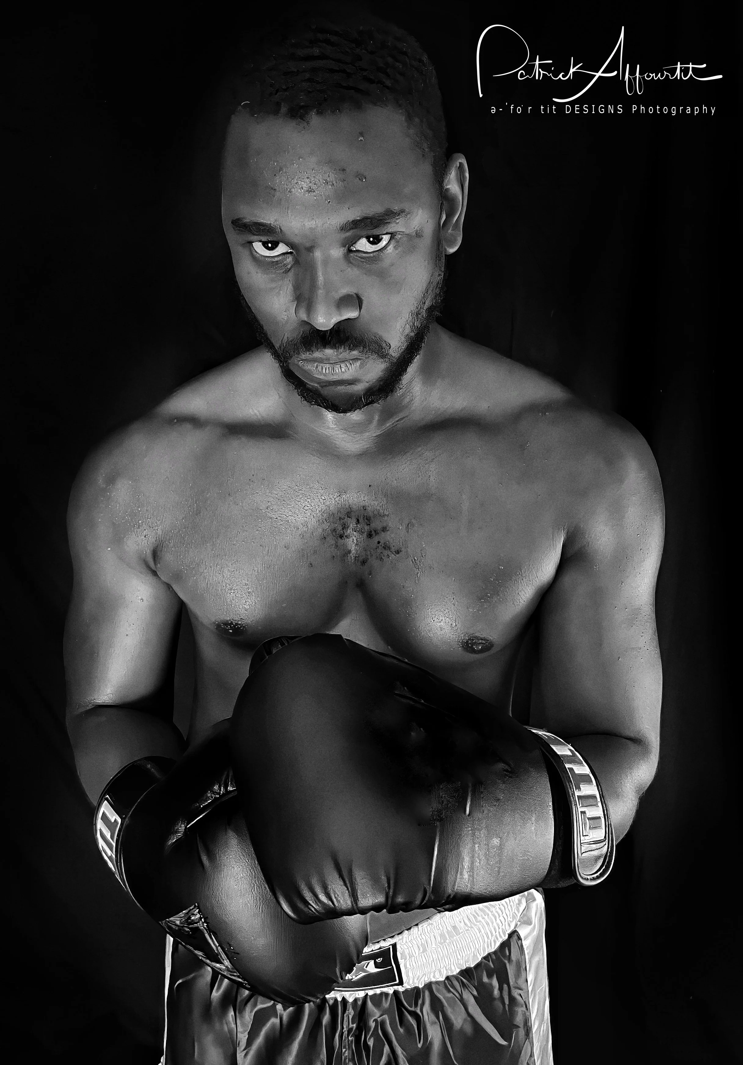 Boxer-24.jpg