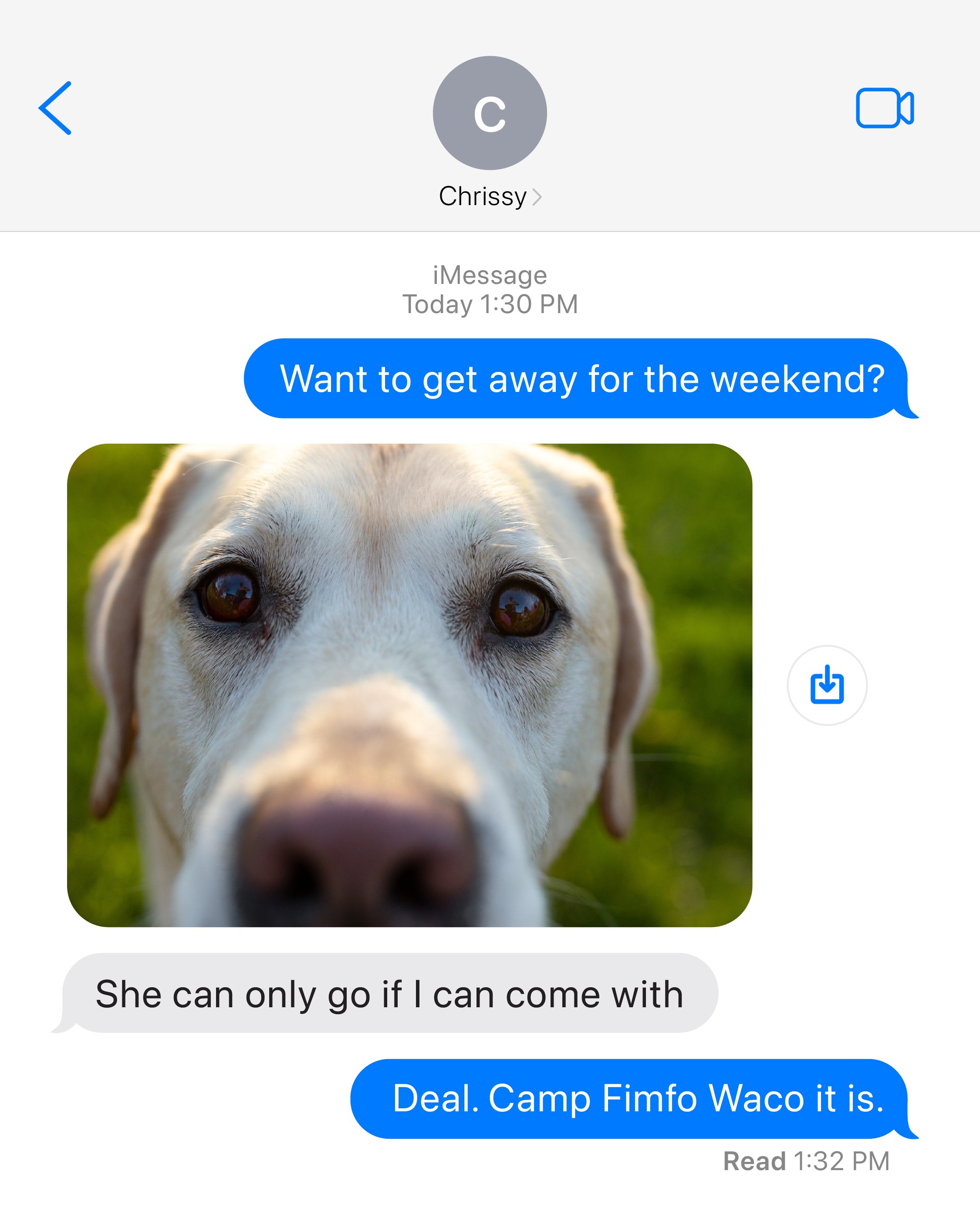 Pet Friendly Social Post.jpg