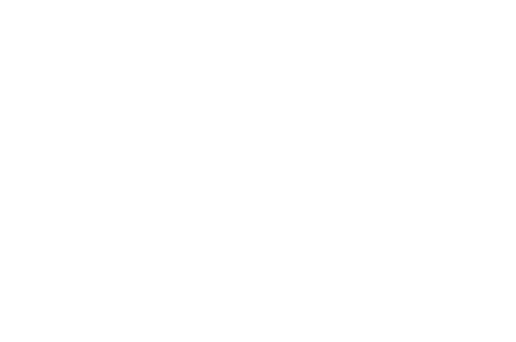 Best_Feature_Script_-_STANLEY_FILM_AWARDS.png