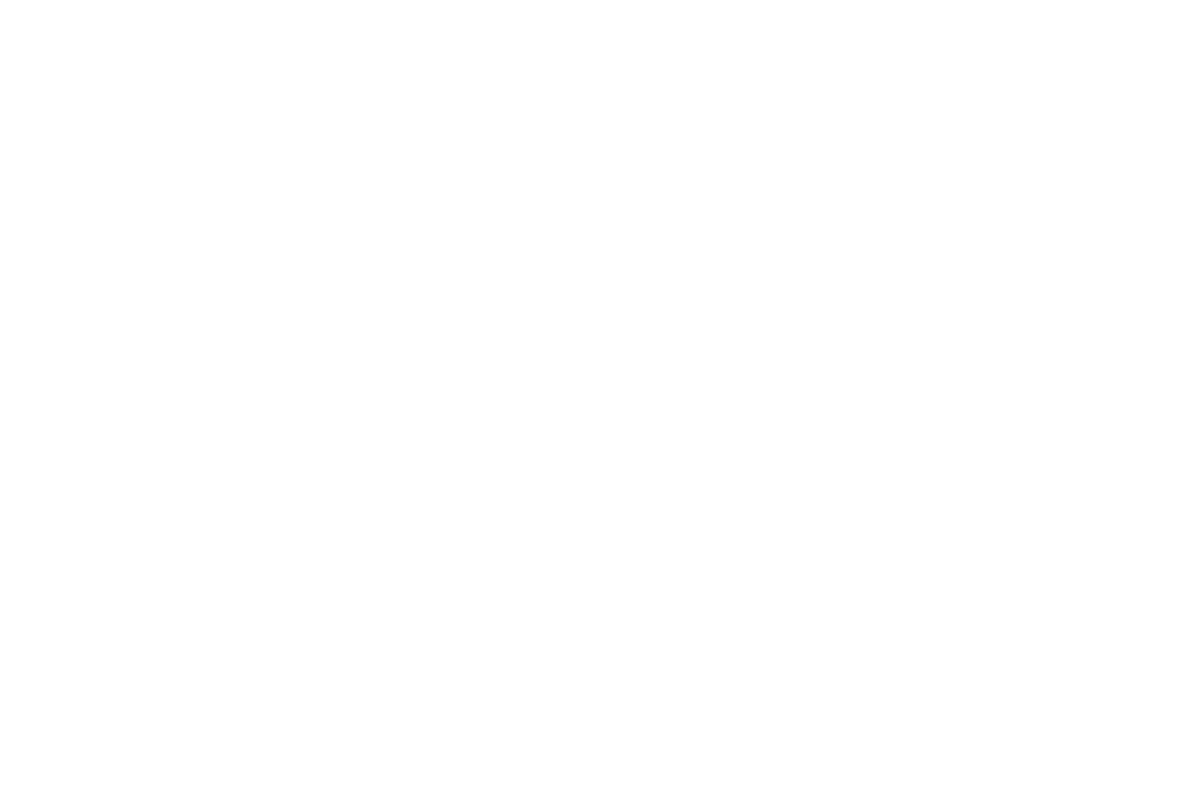 WINNER - TRILOKA INTERNATIONAL FILMFARE AWARDS - 2024.png