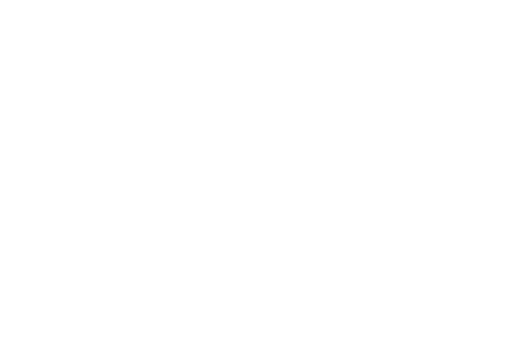 WINNER - Bridge Fest - 2022.png